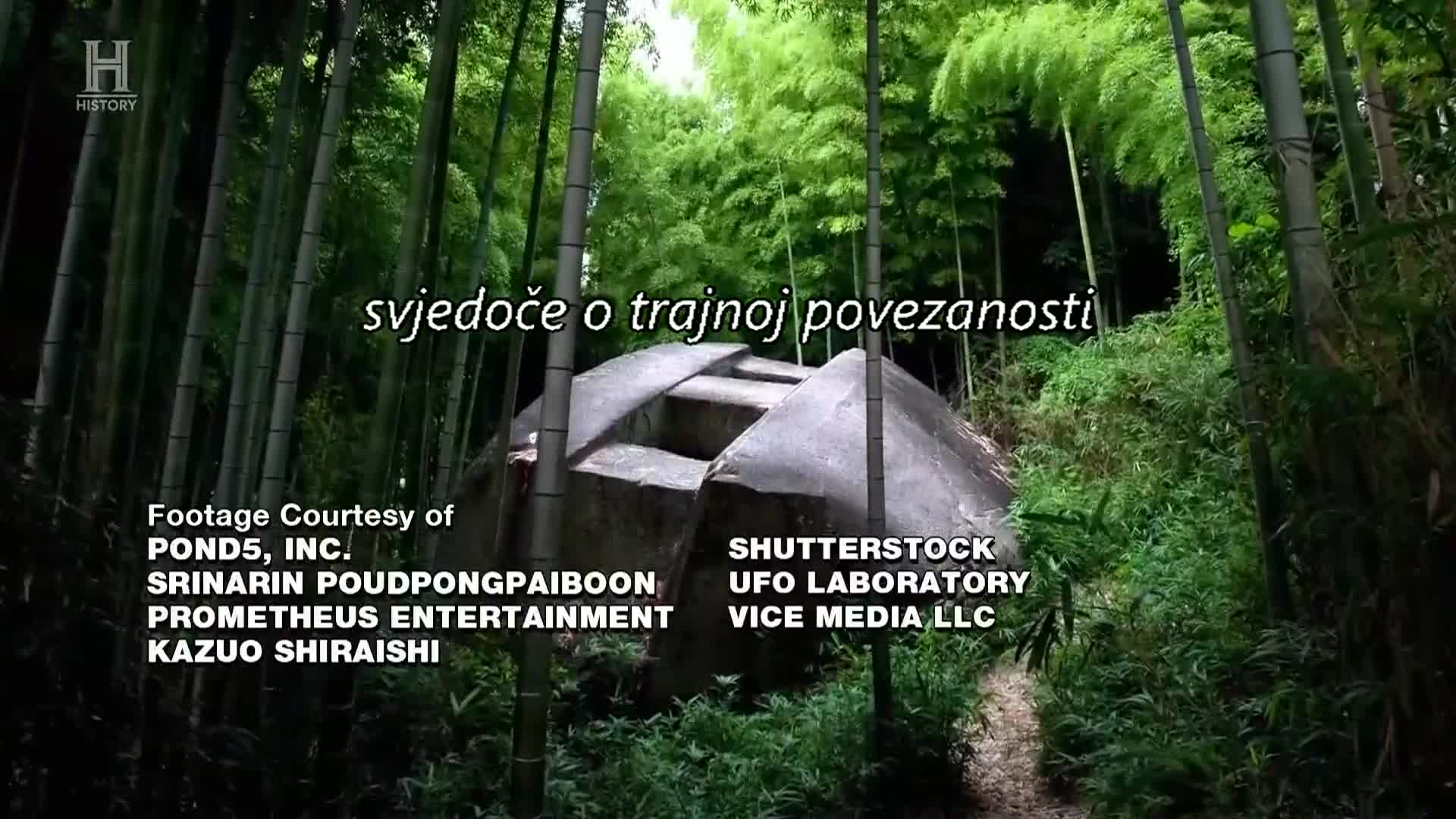 History