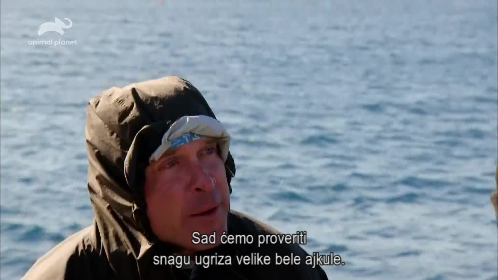 AnimalPlanet