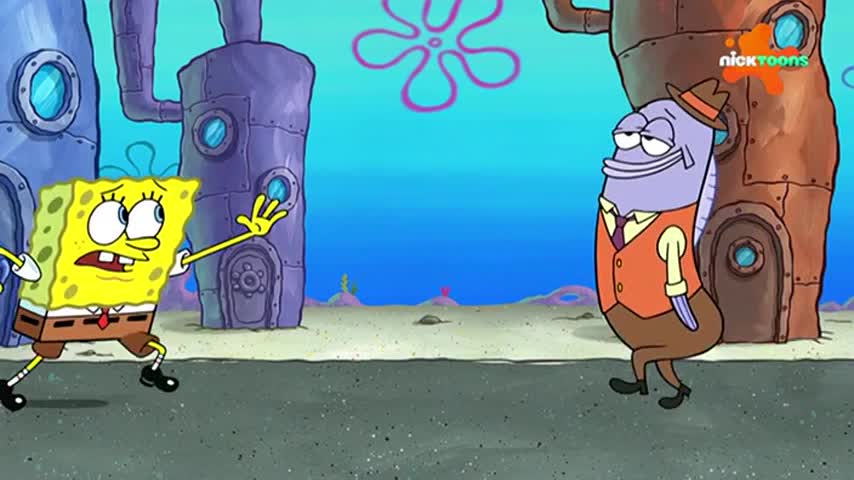 CCExtra