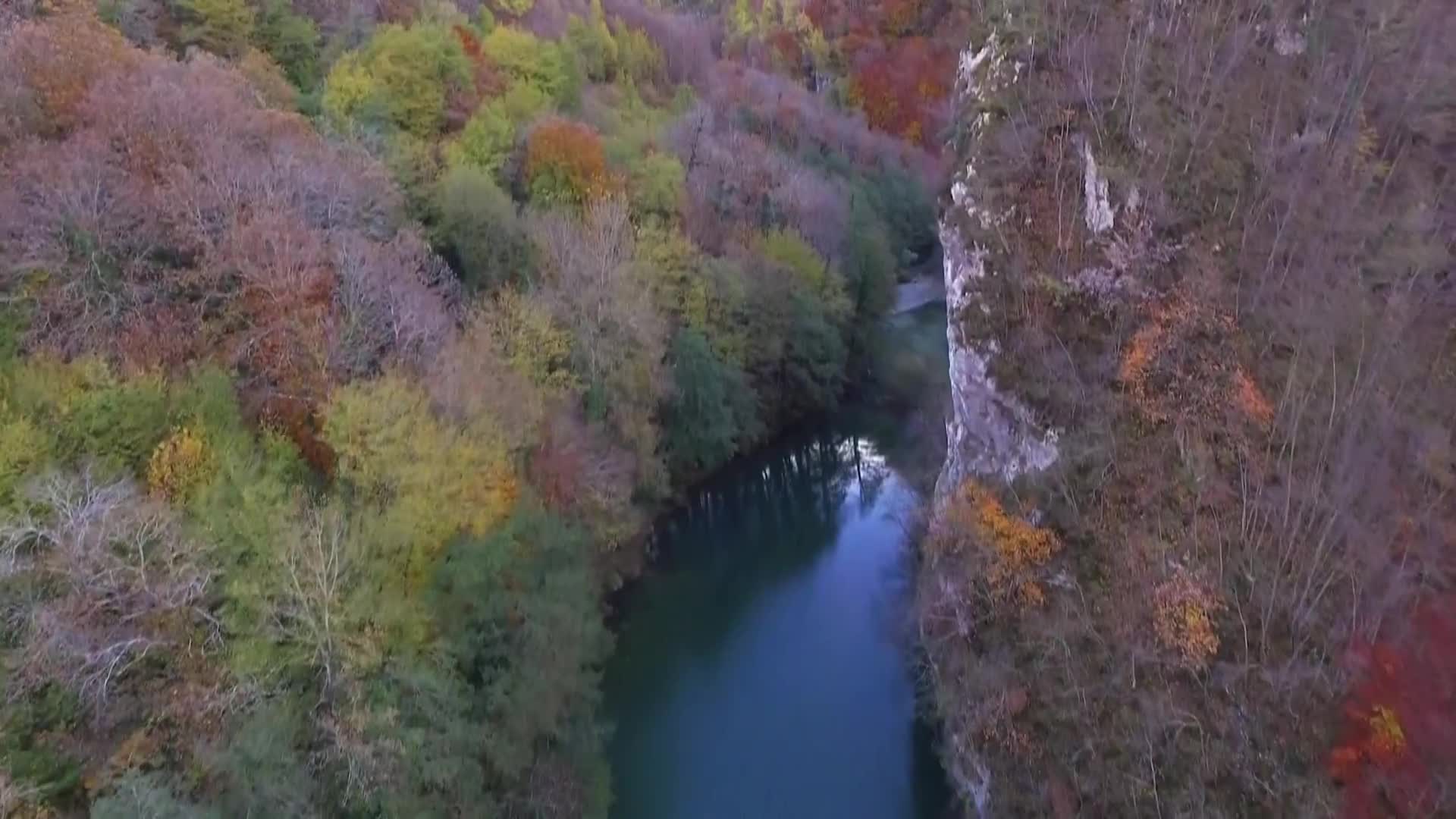 DokuTV