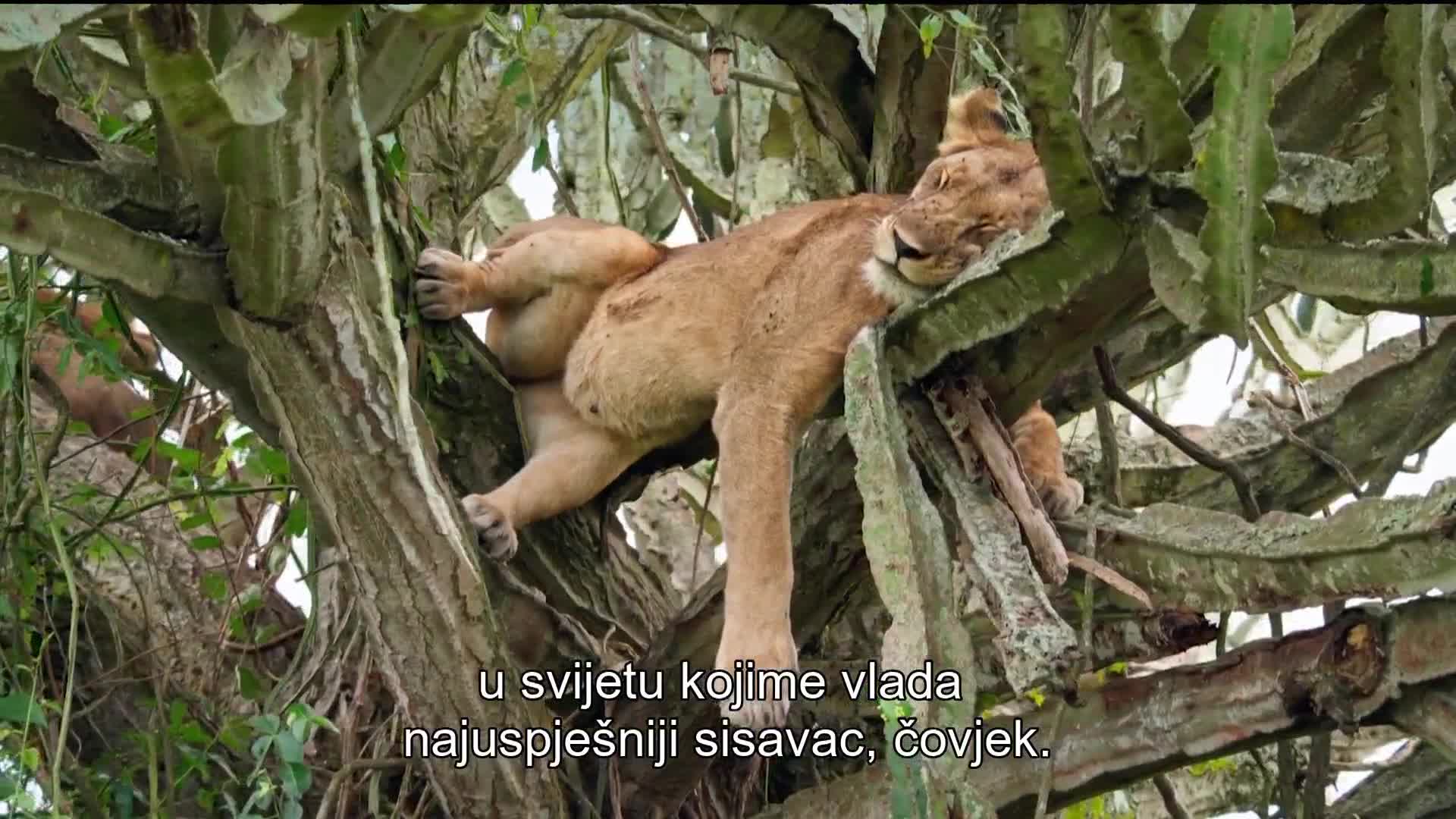 HRT2