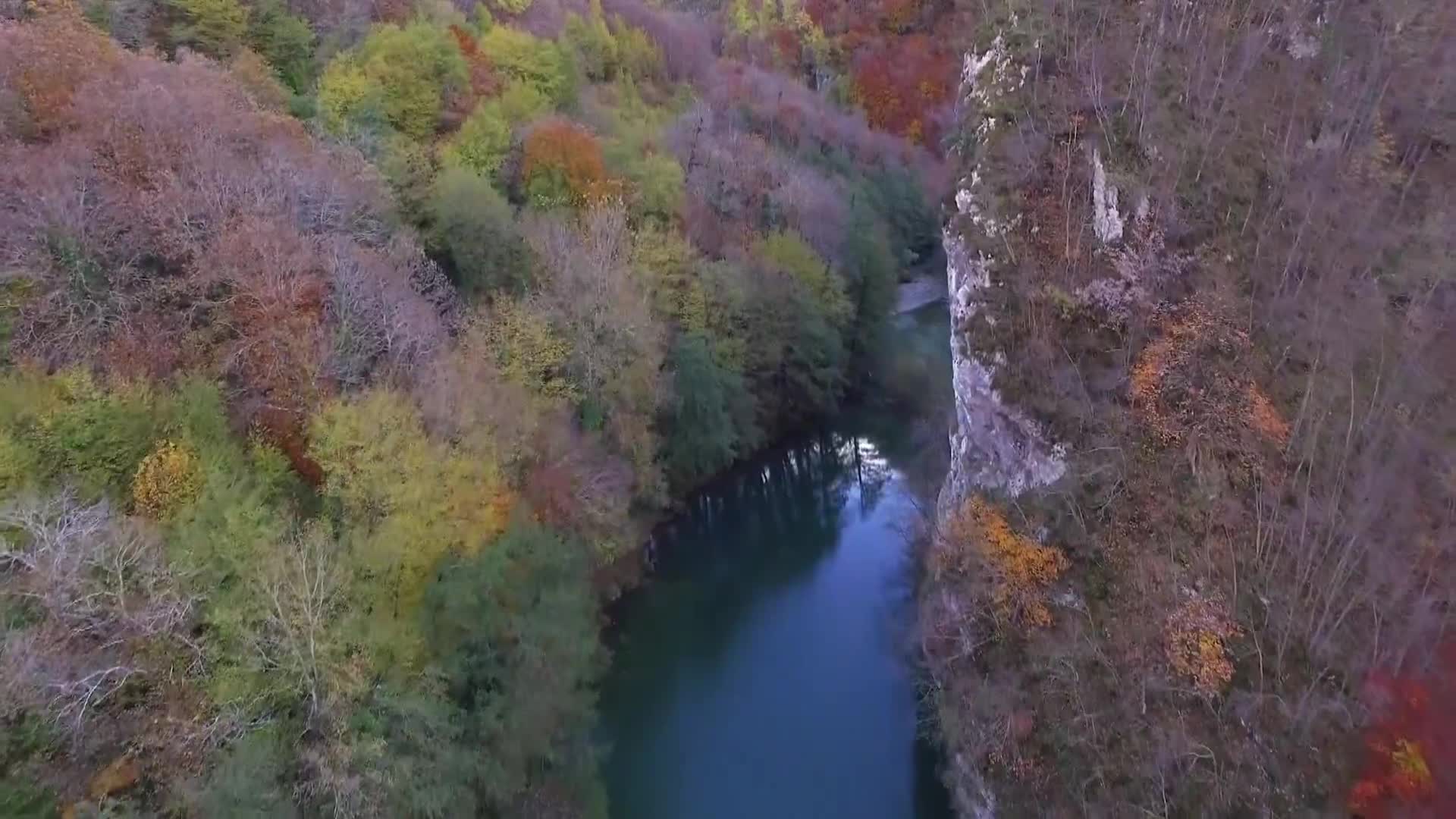 DokuTV