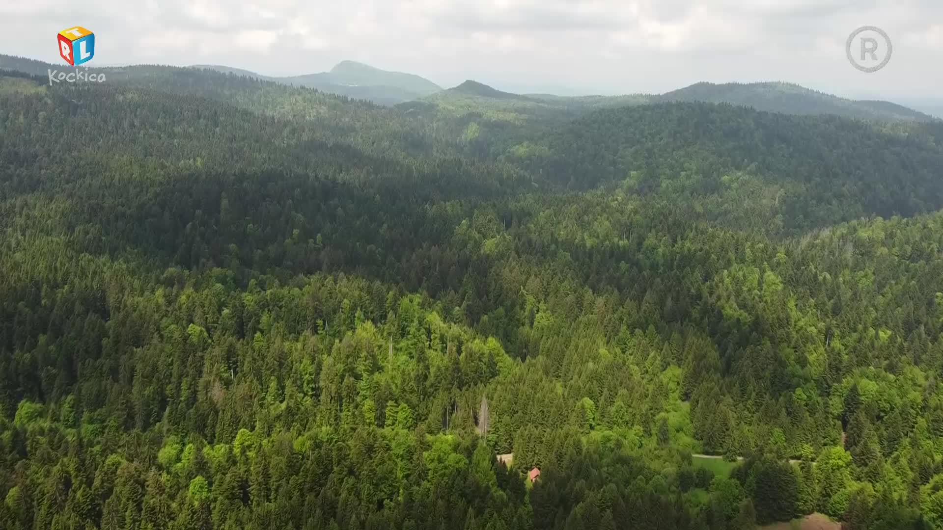 RTLKockica
