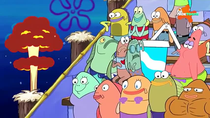 CCExtra