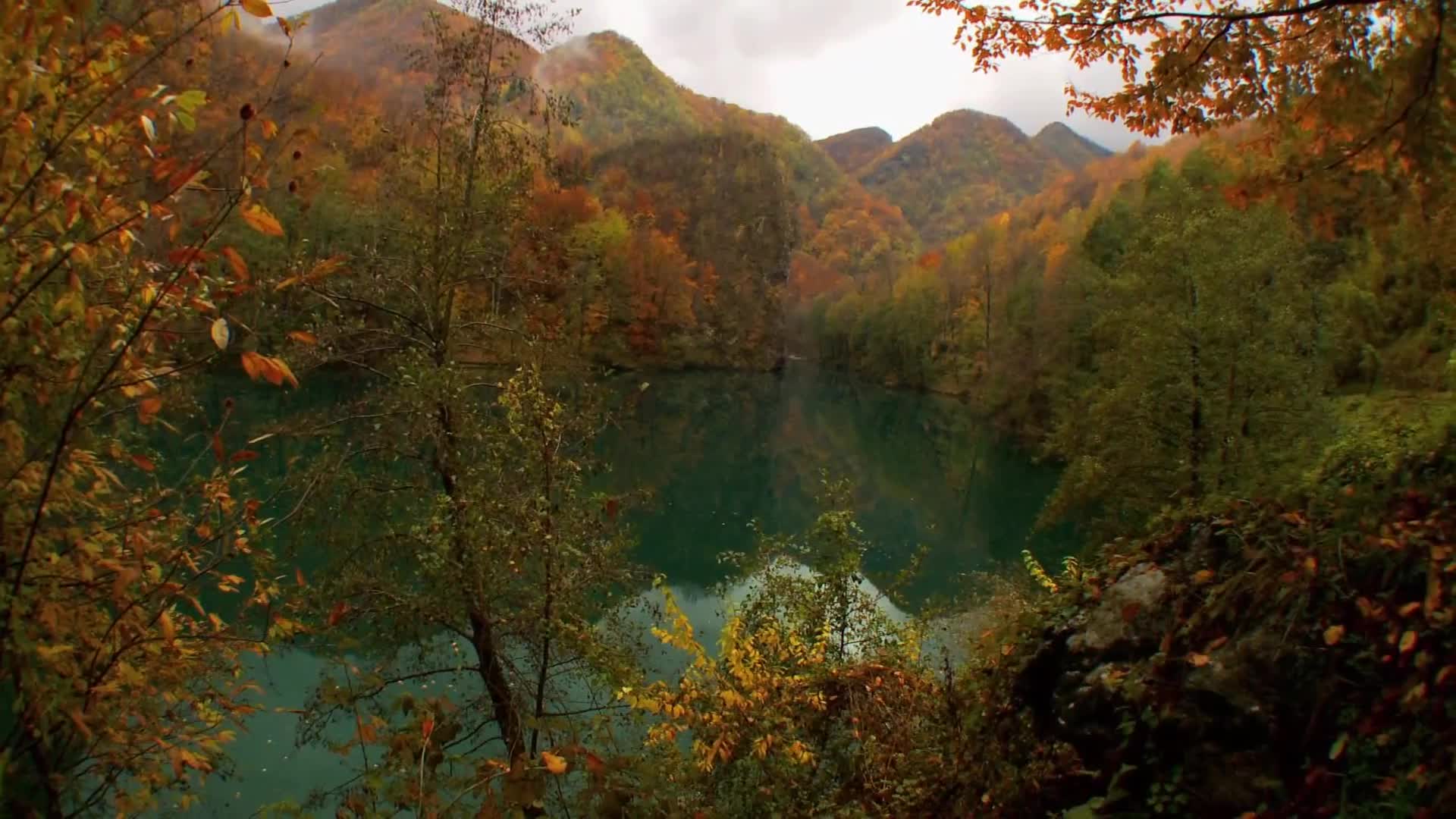 DokuTV
