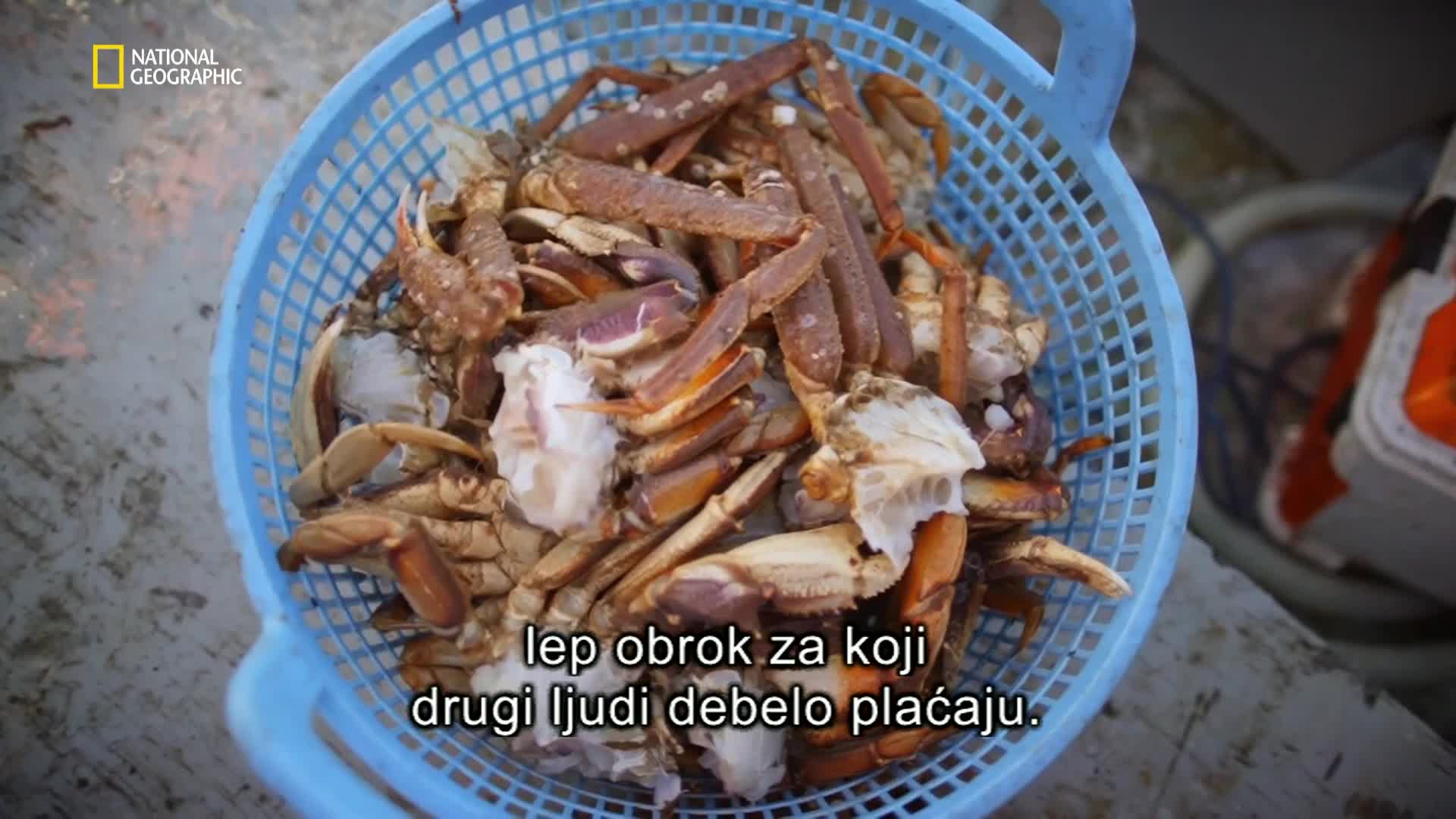Premium10
