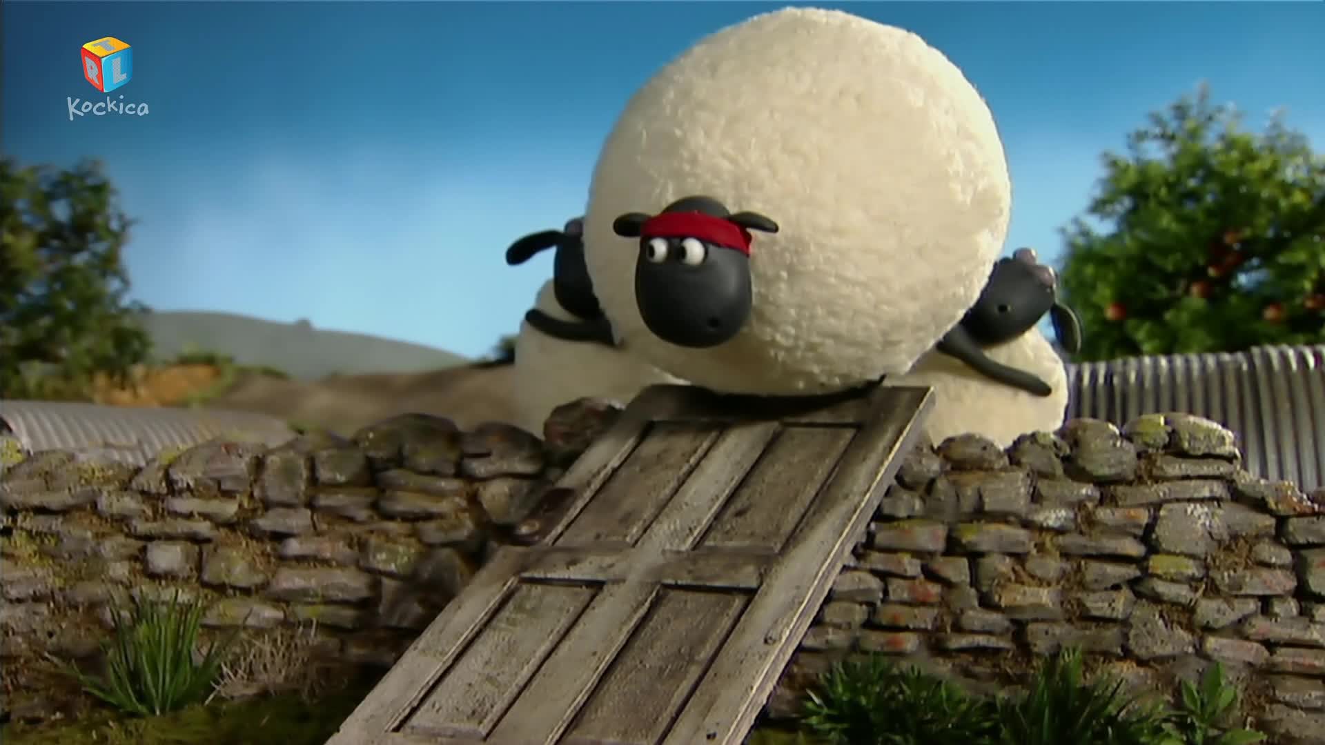 RTLKockica