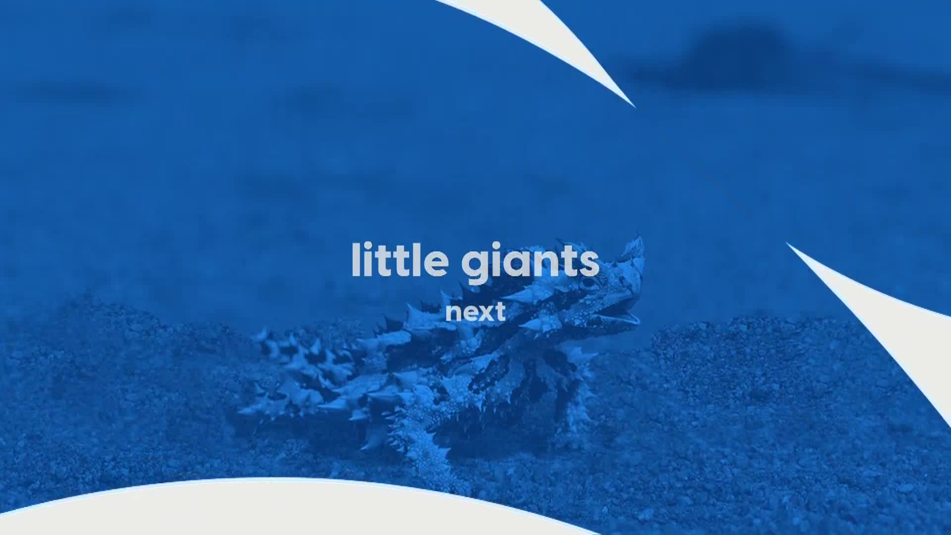 AnimalPlanet