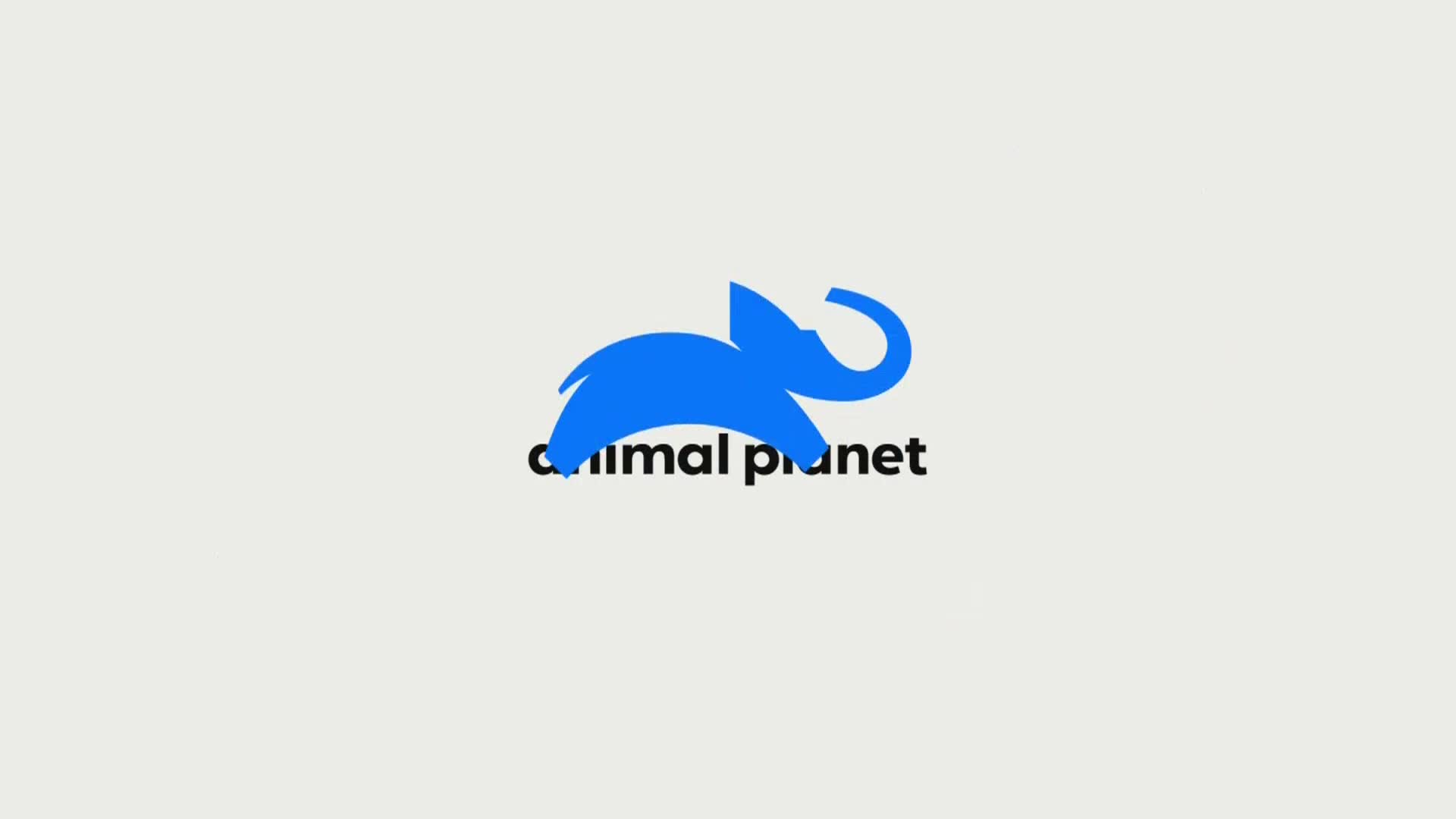AnimalPlanet