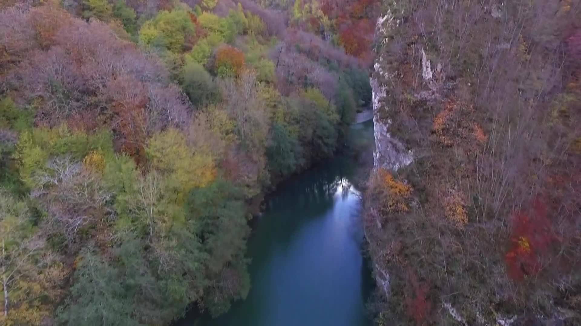 DokuTV