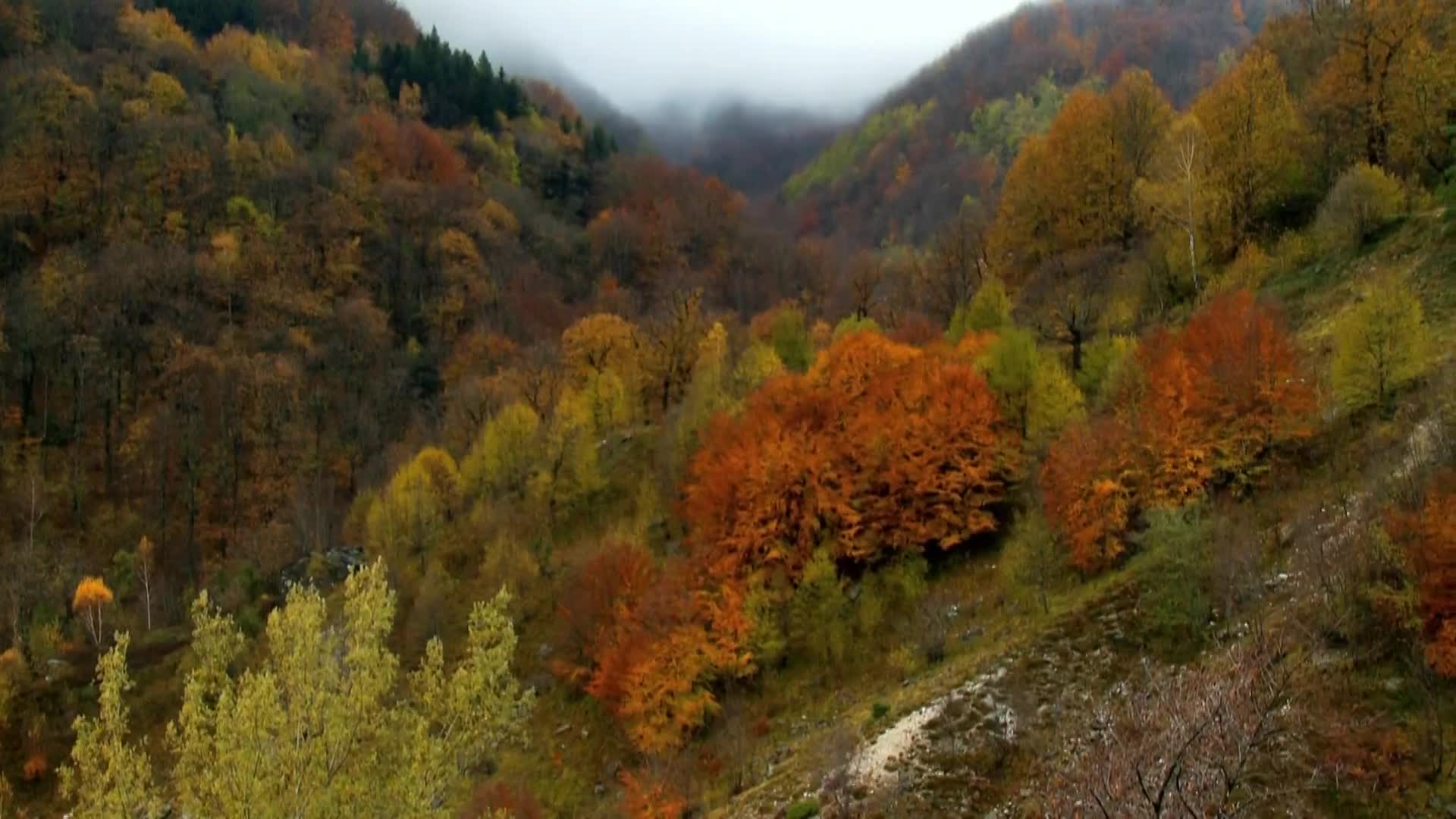 DokuTV
