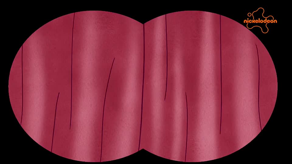 Nickelodeon