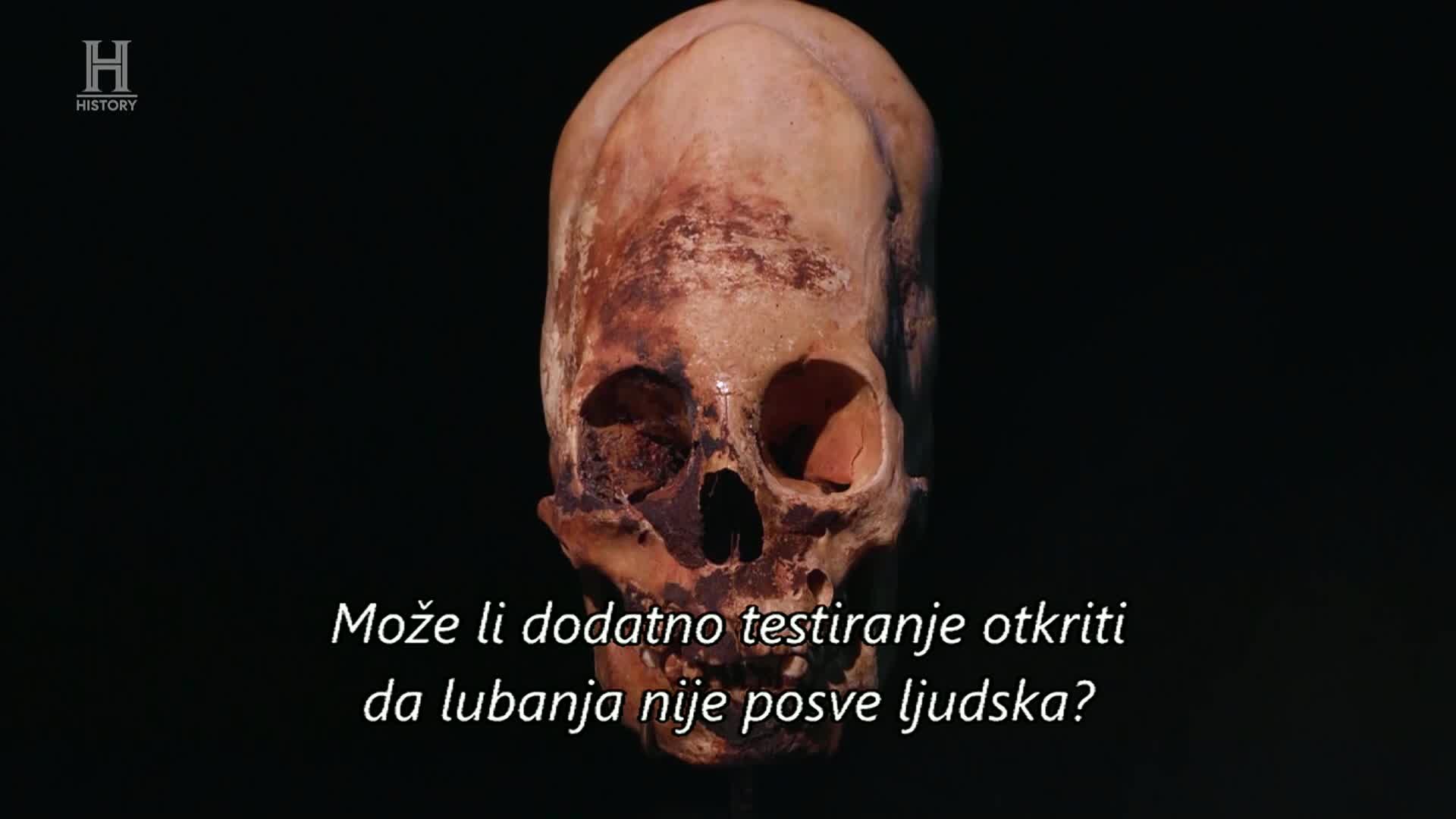 History
