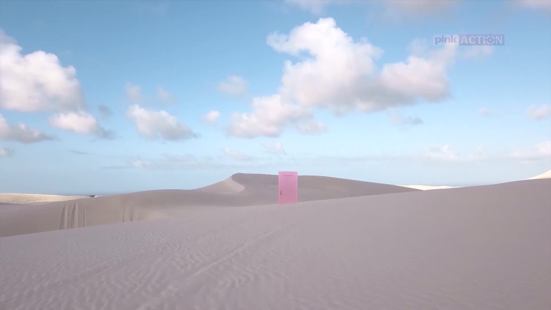 PinkAction