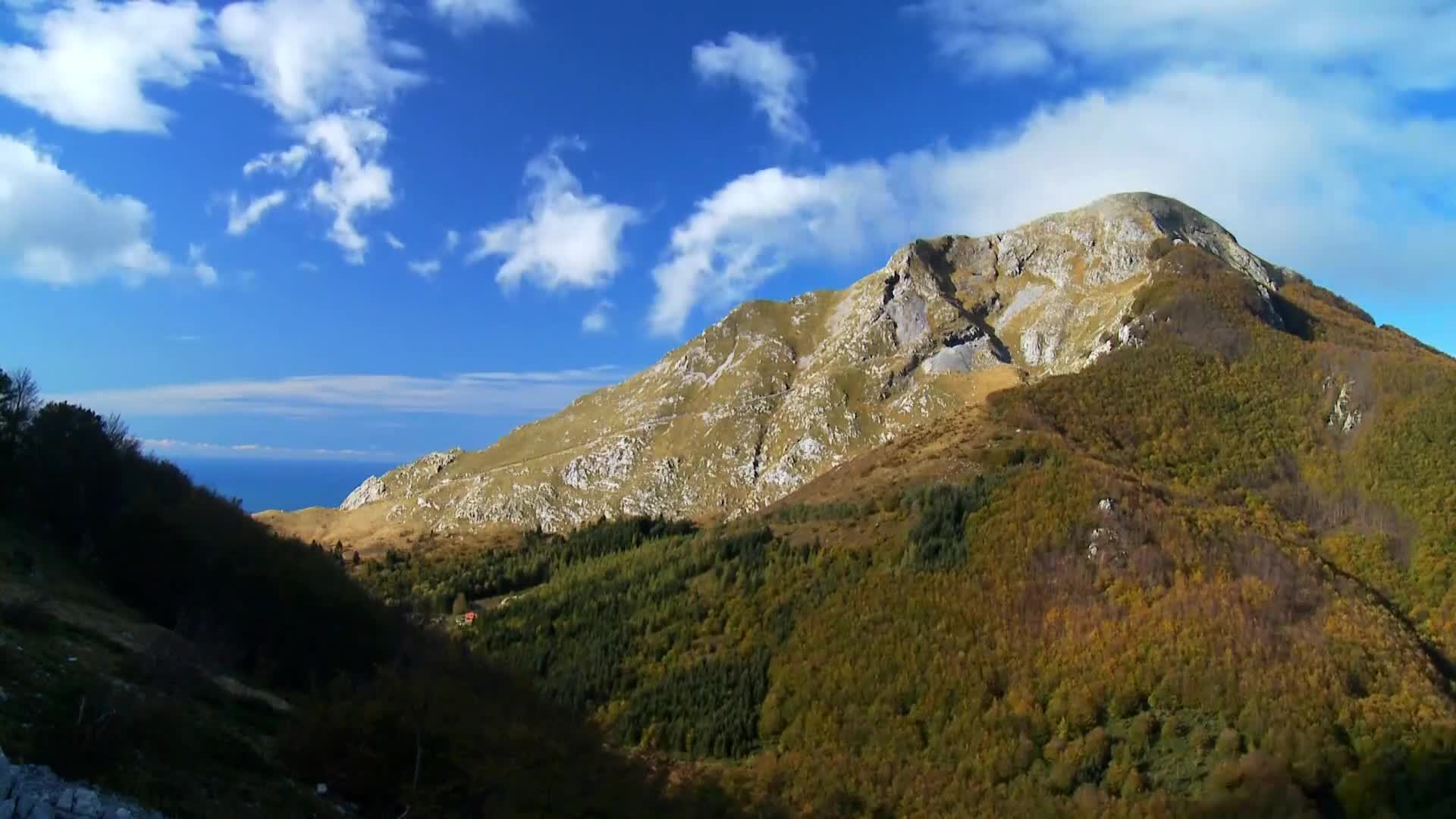 DokuTV