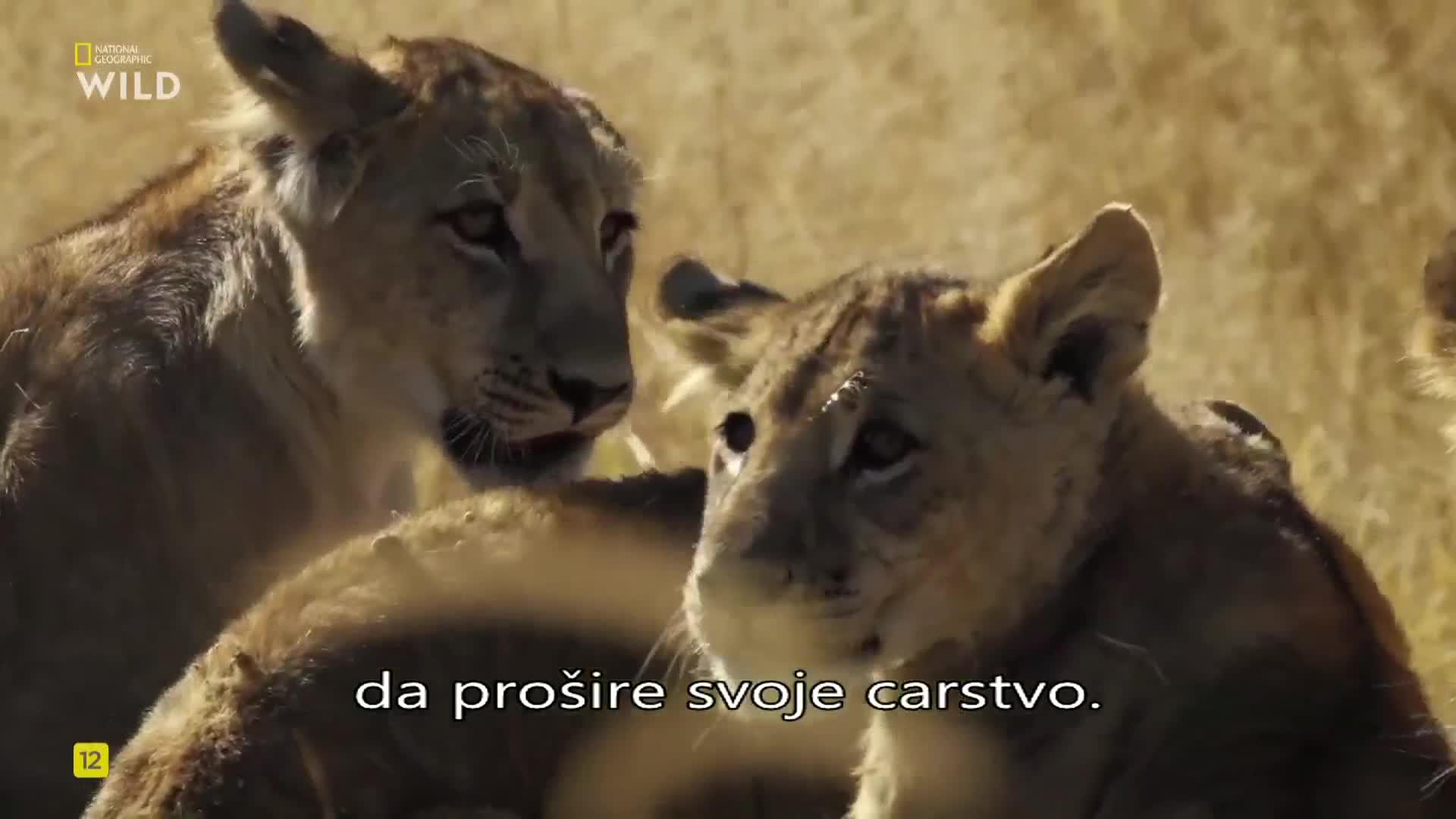 Premium9