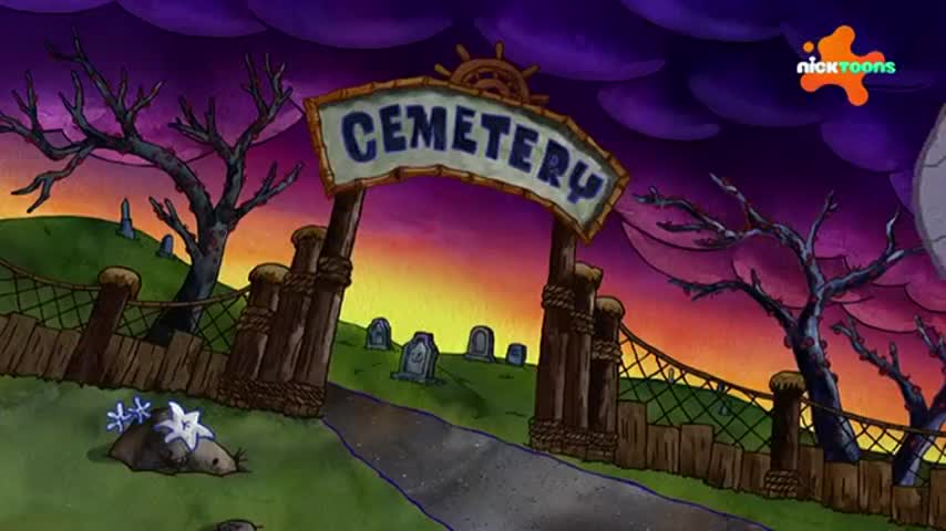 CCExtra