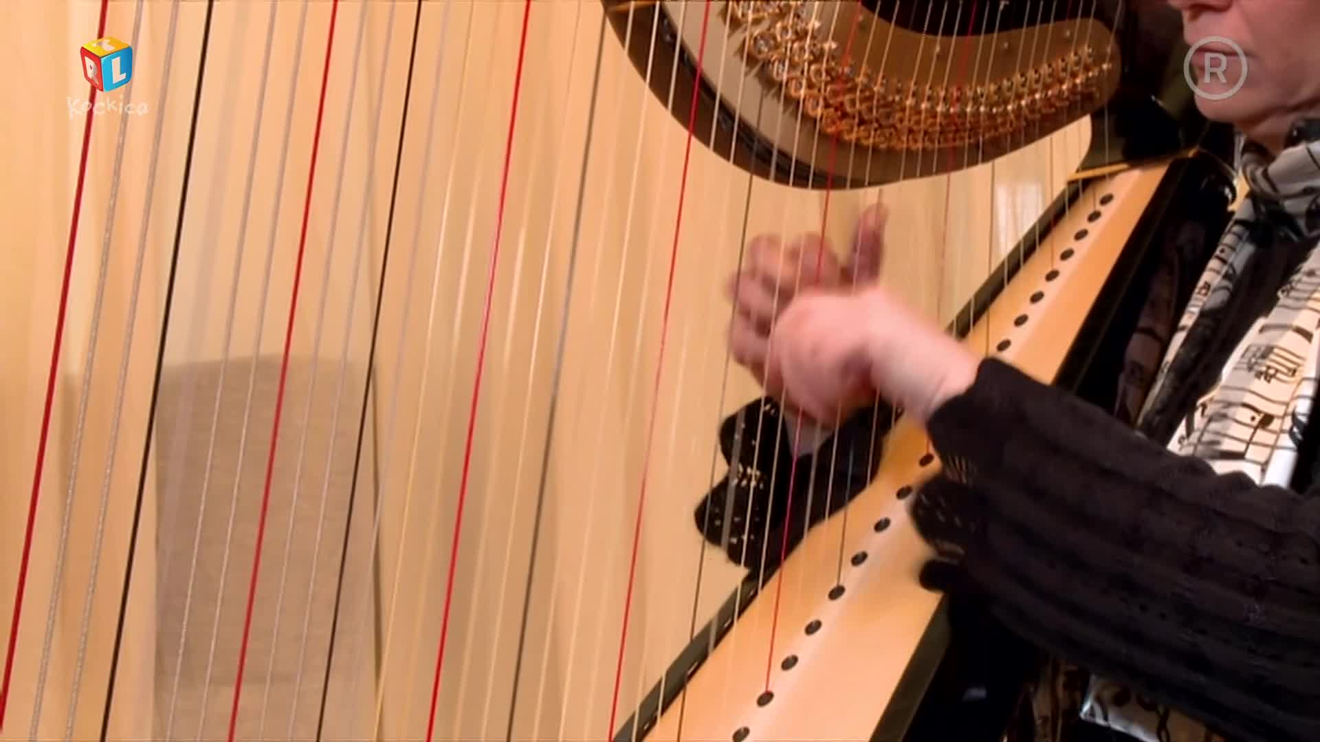 RTLKockica