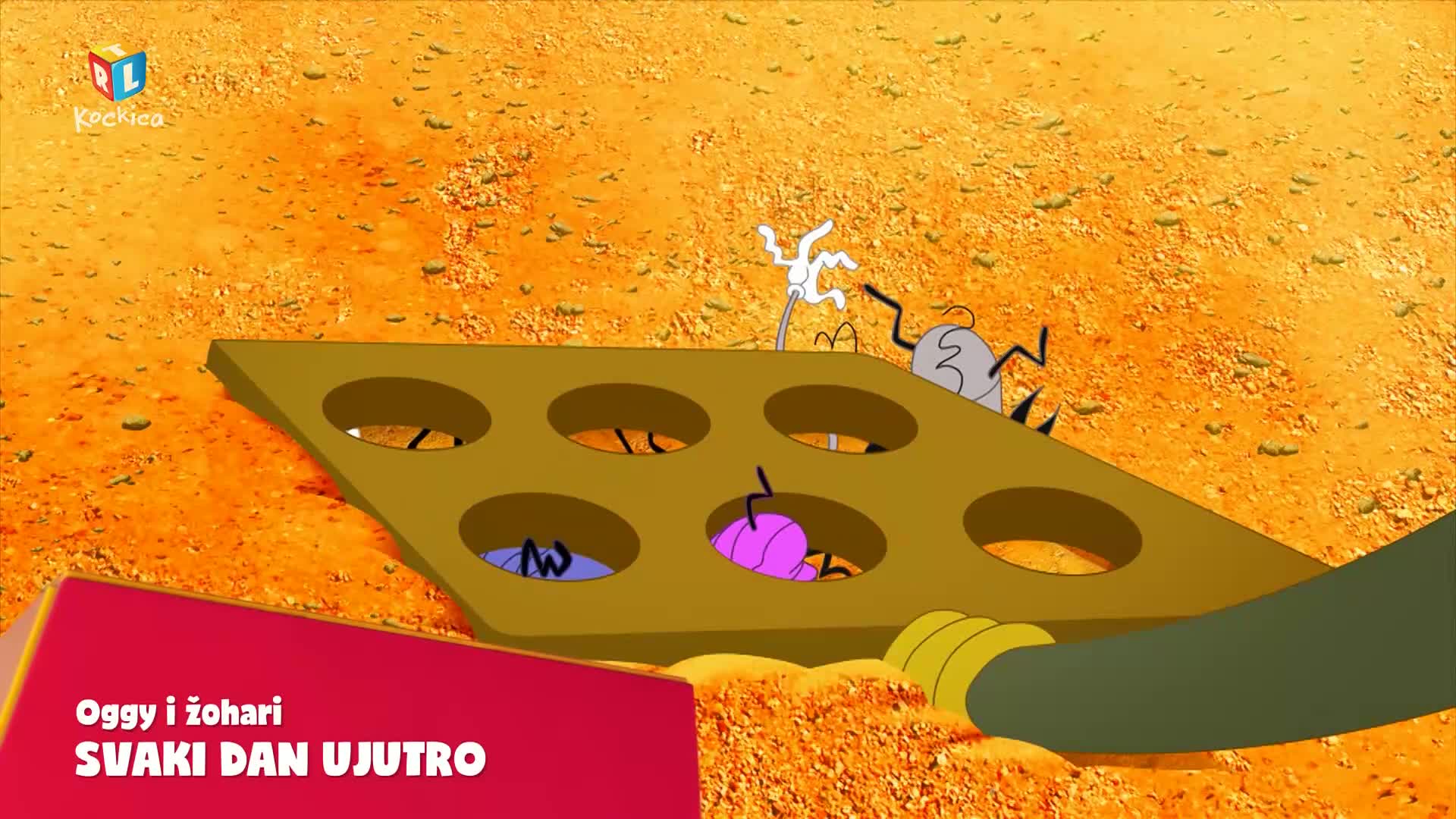 RTLKockica