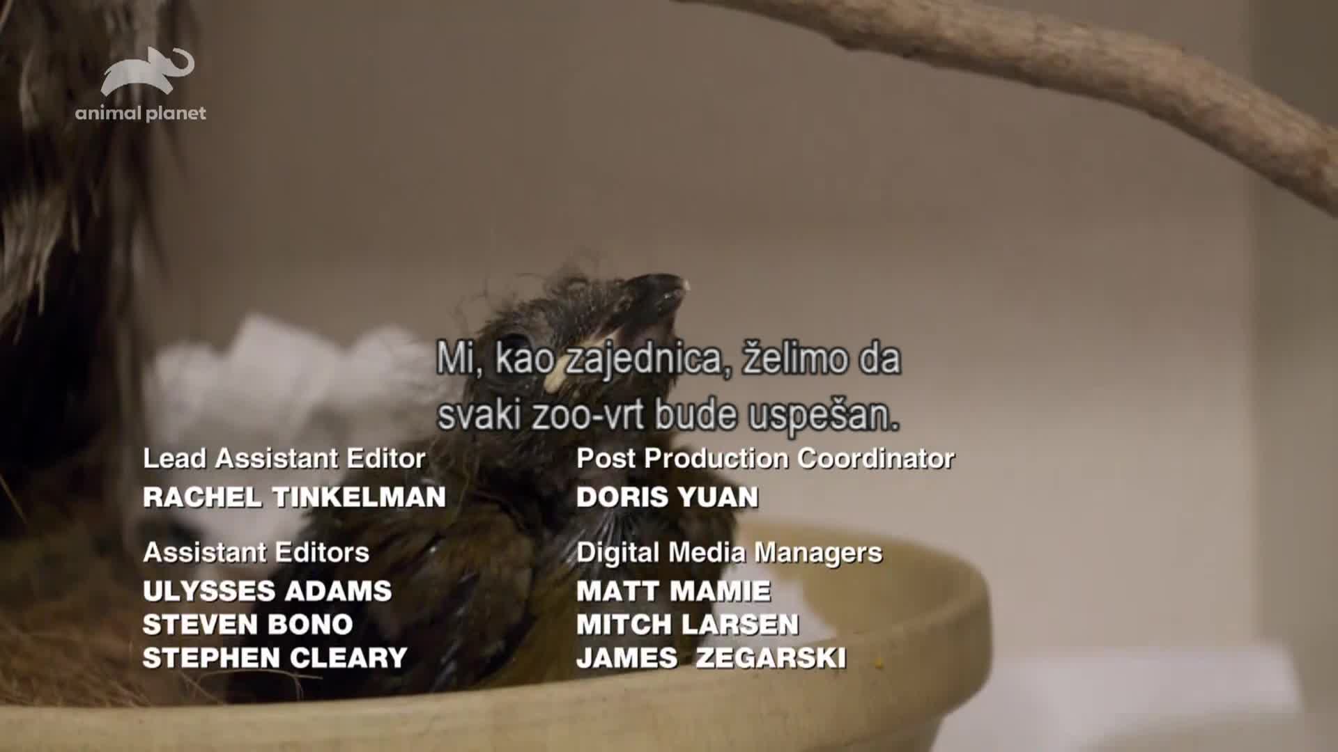 AnimalPlanet