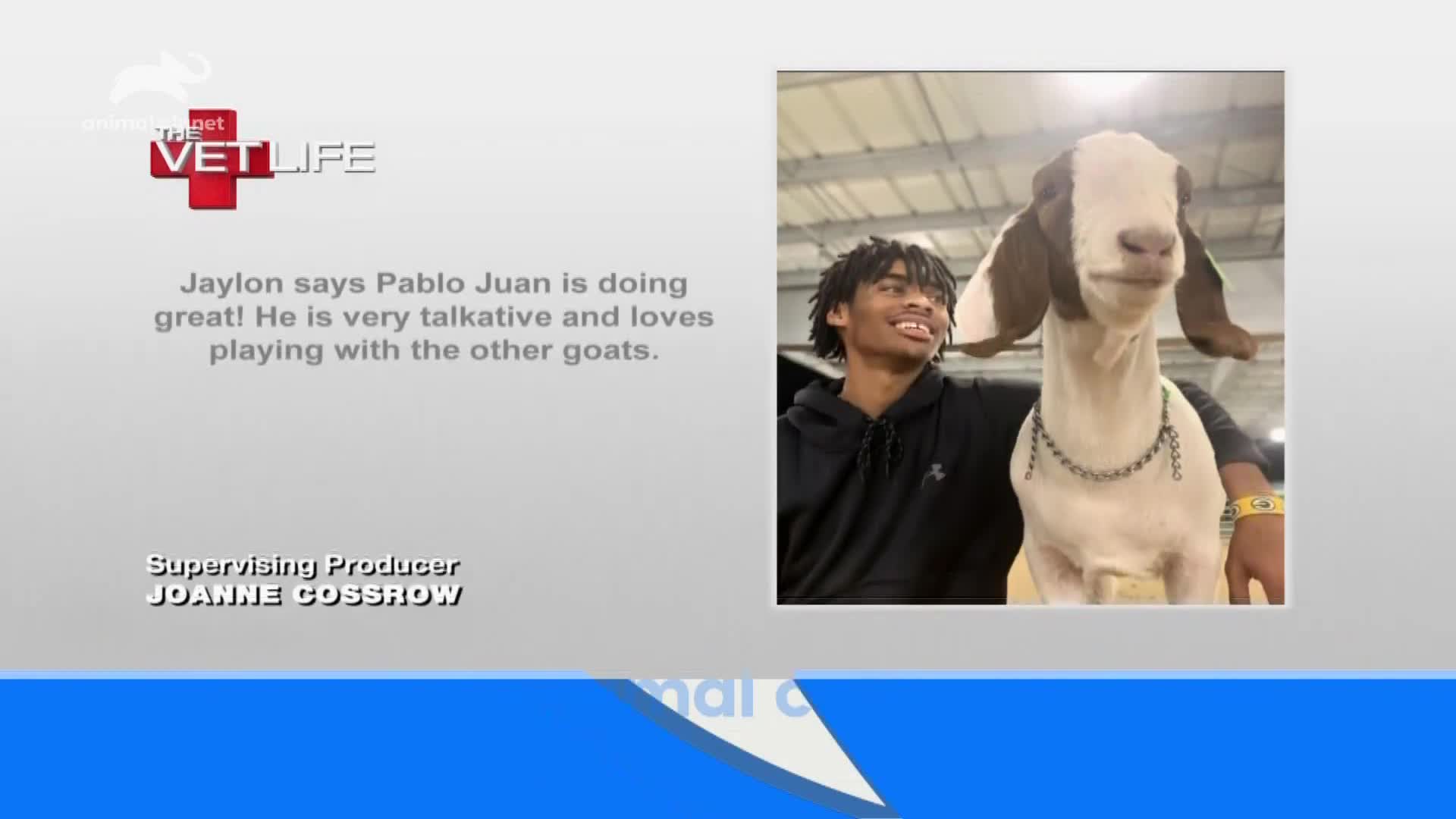 AnimalPlanet