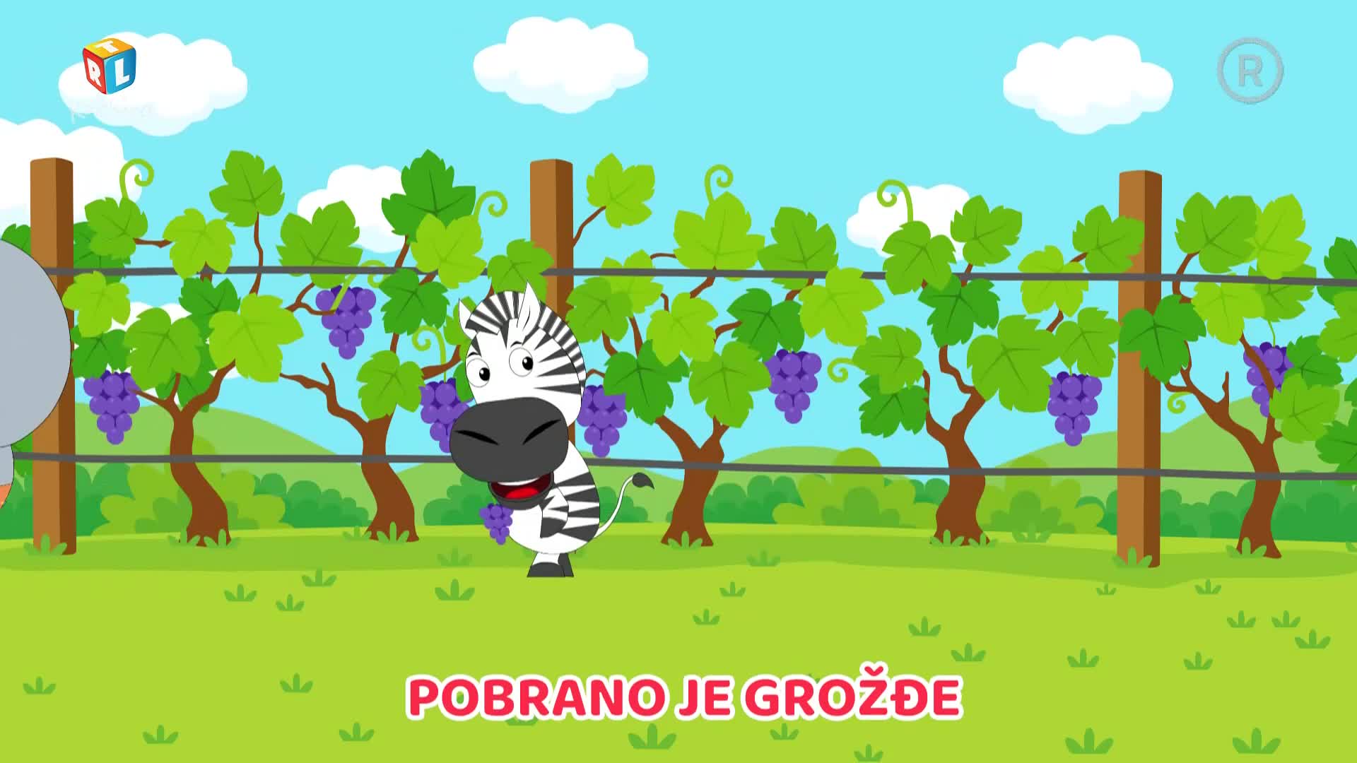 RTLKockica