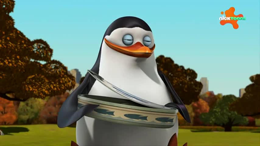 CCExtra