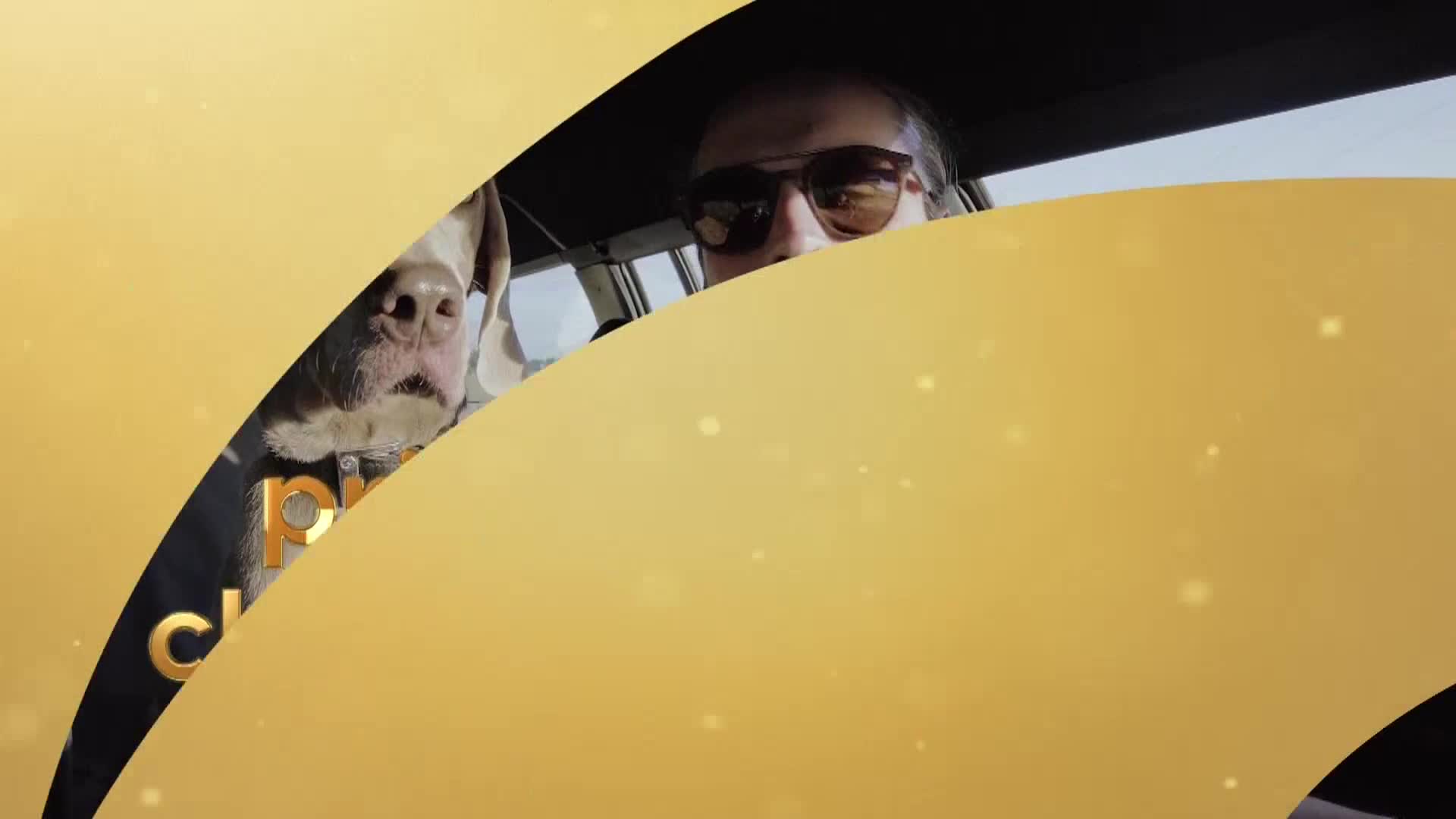 AnimalPlanet