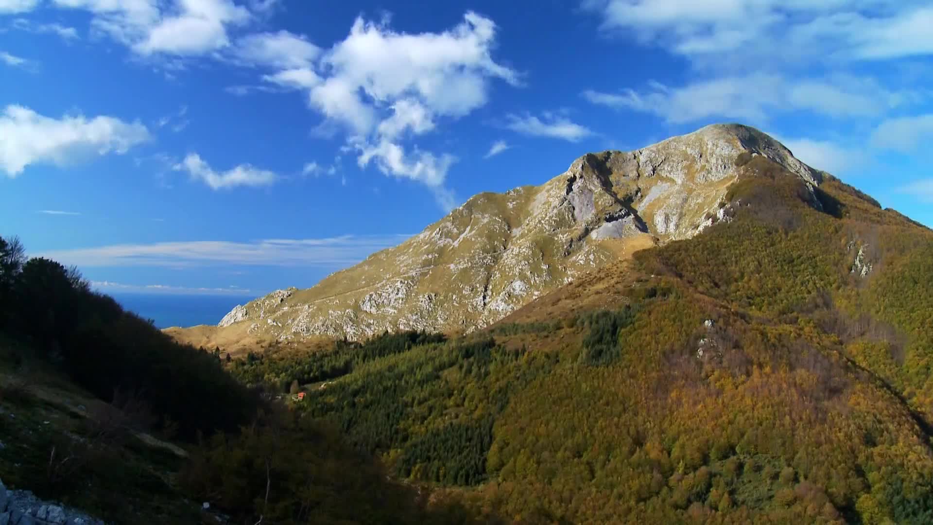 DokuTV