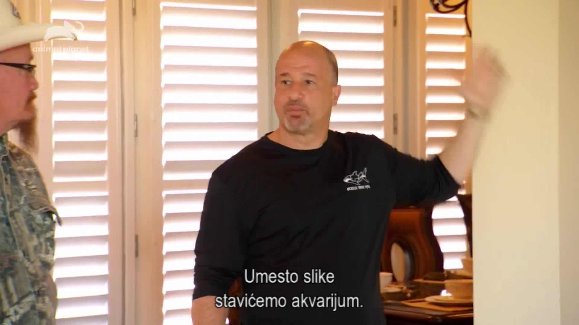 AnimalPlanet