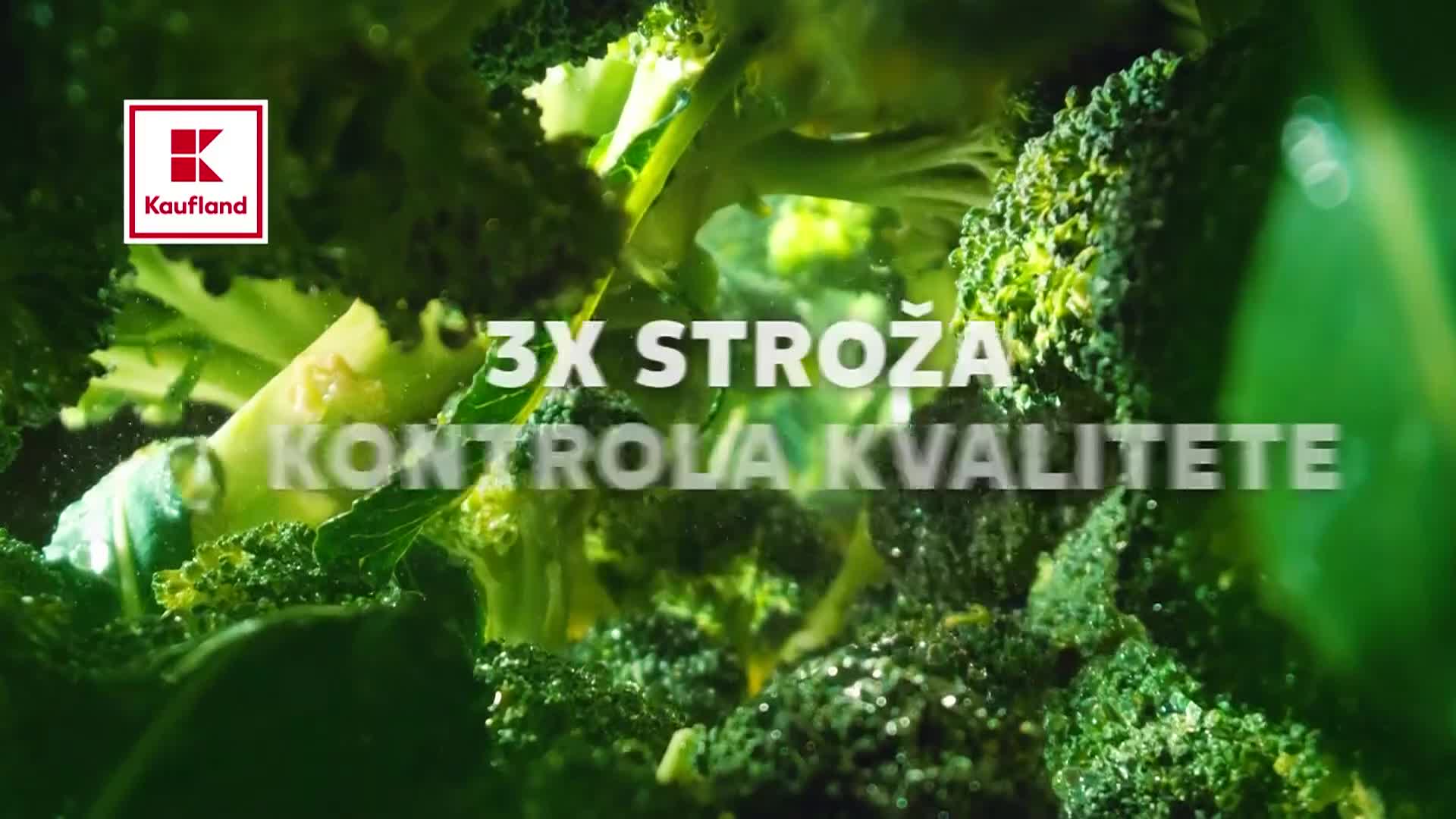 CinestarTV2HD