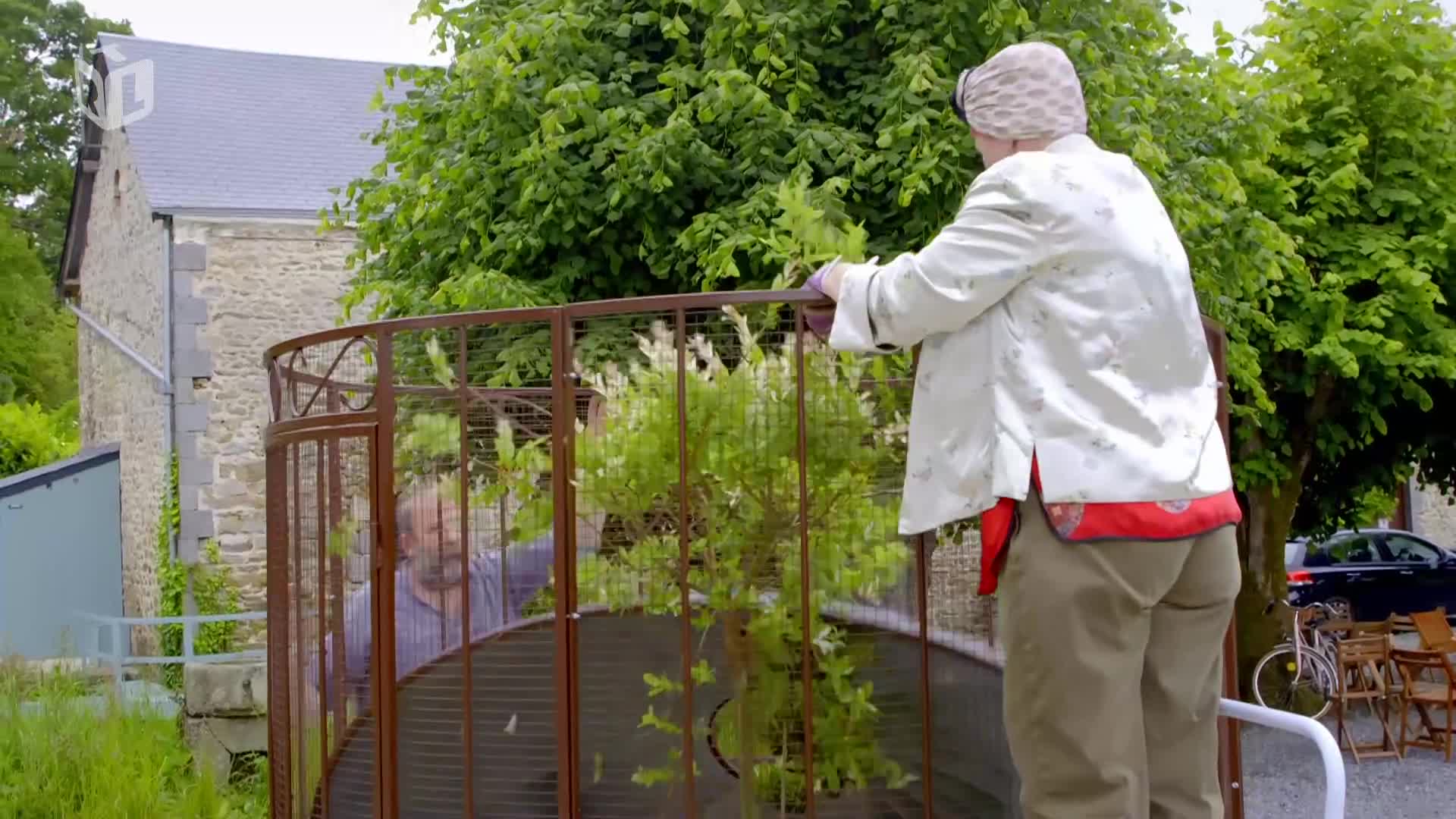 RTLKockica