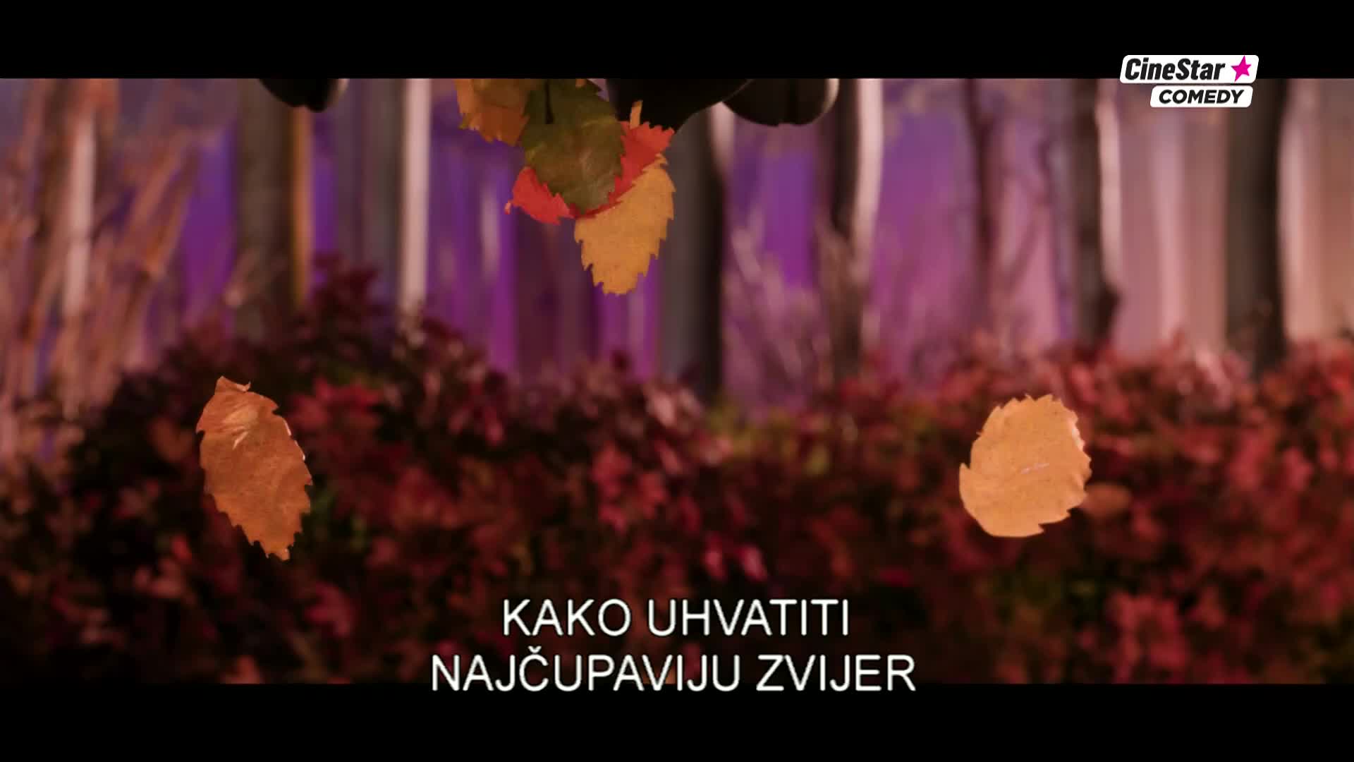 CinestarComedy