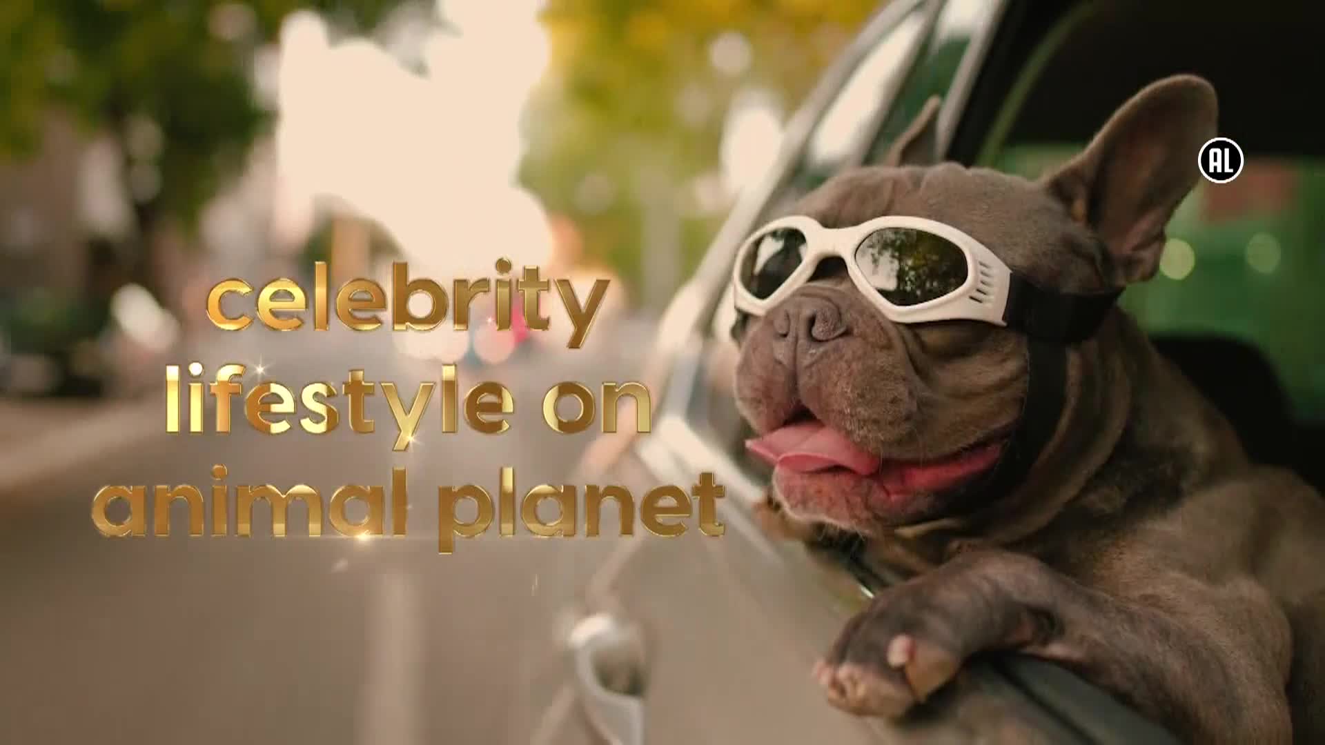 AnimalPlanet