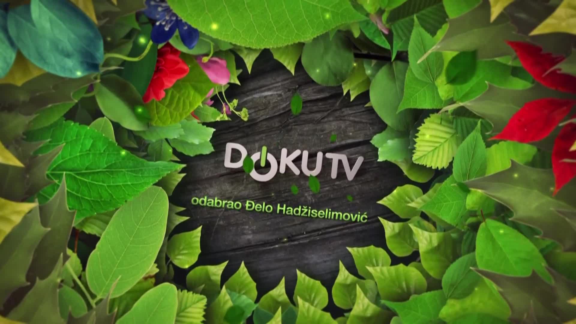 DokuTV