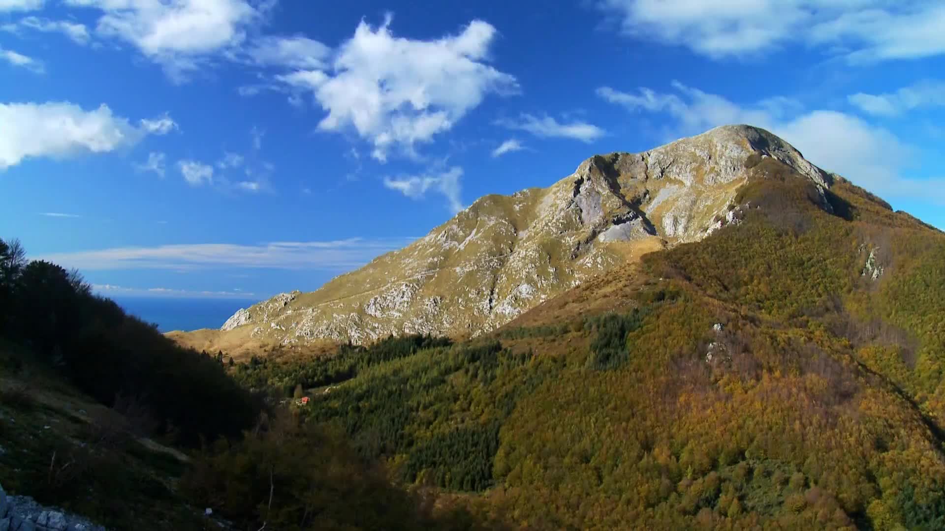DokuTV