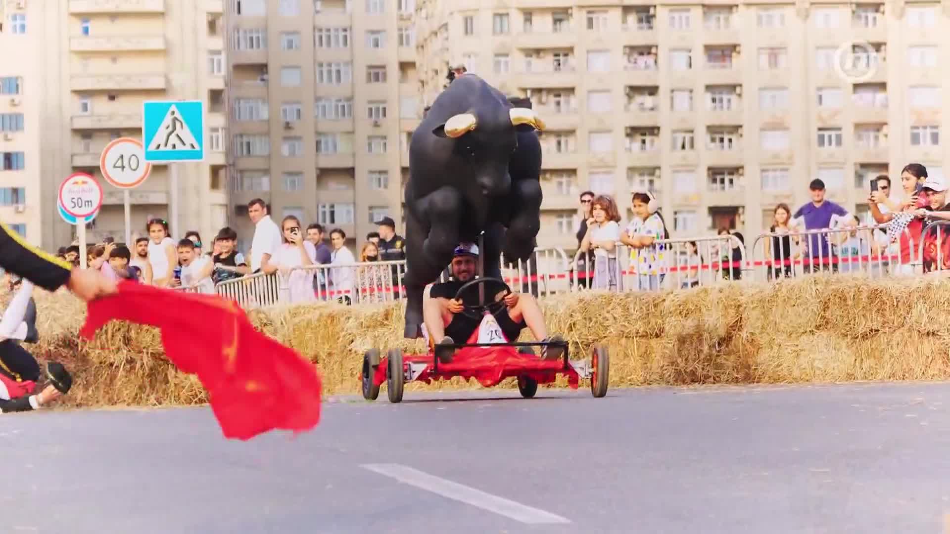 NovaTVbh