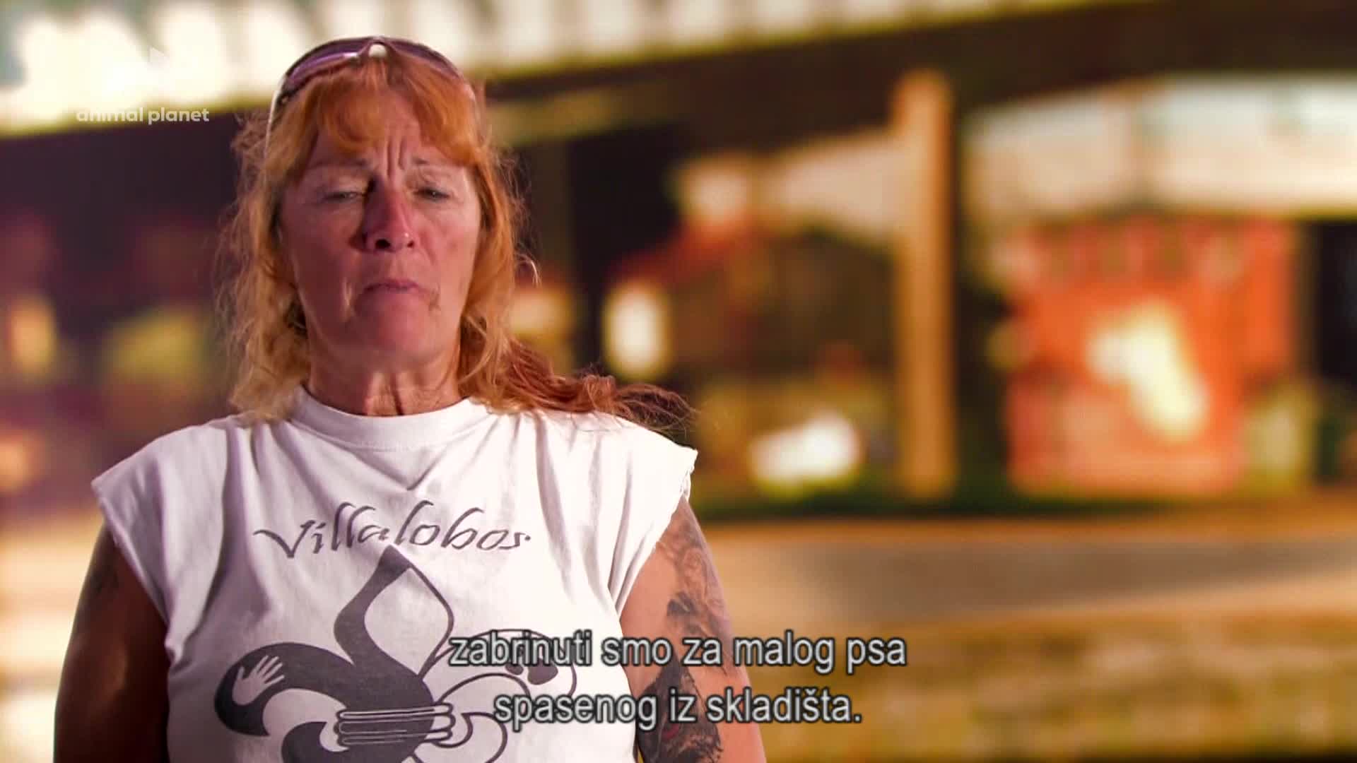 AnimalPlanet