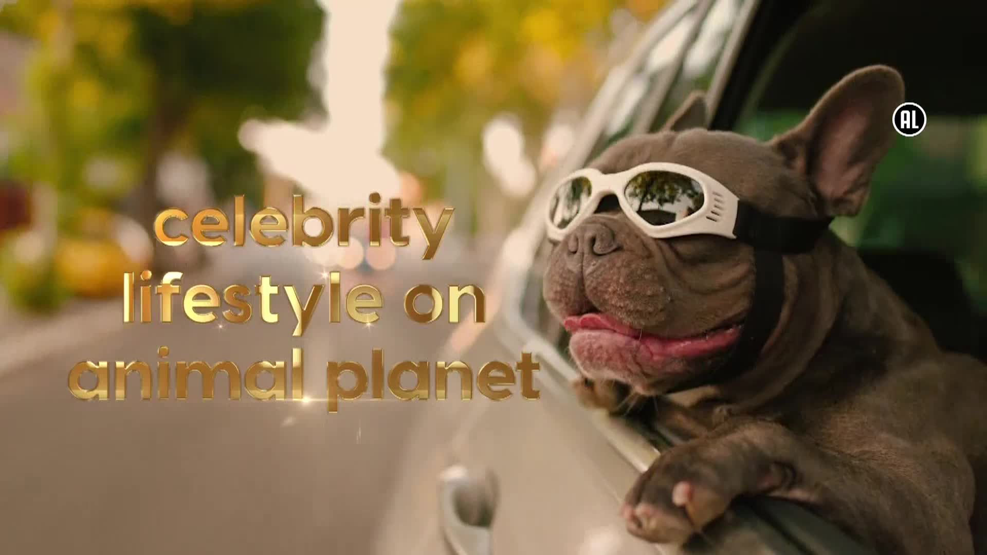 AnimalPlanet