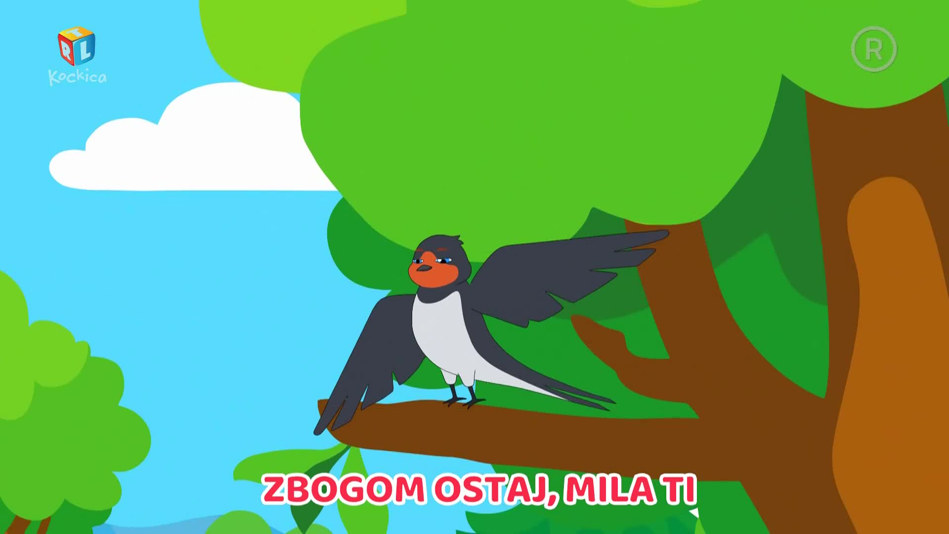 RTLKockica