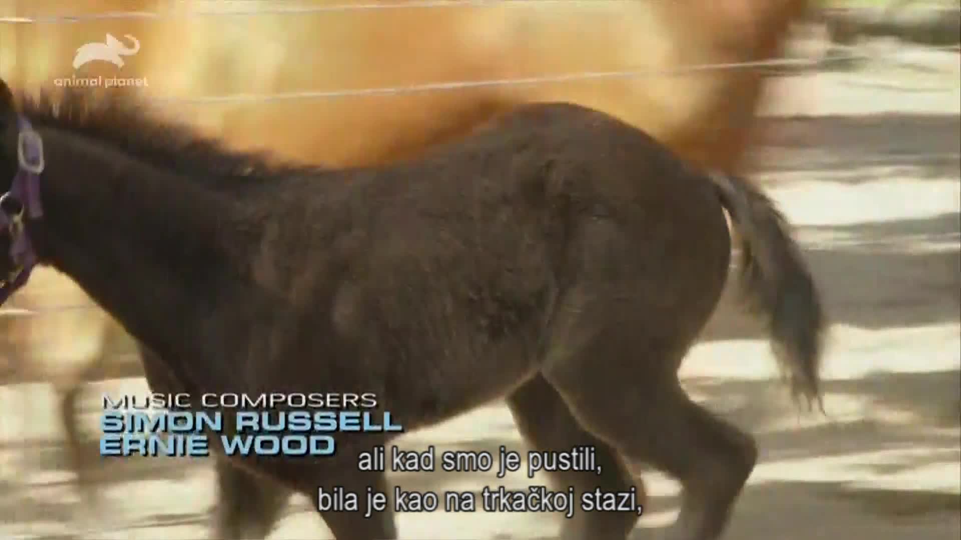 AnimalPlanet