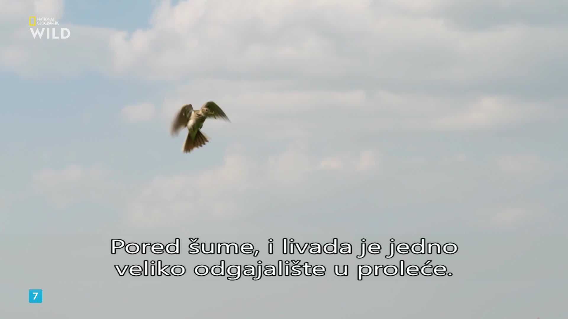 Premium9