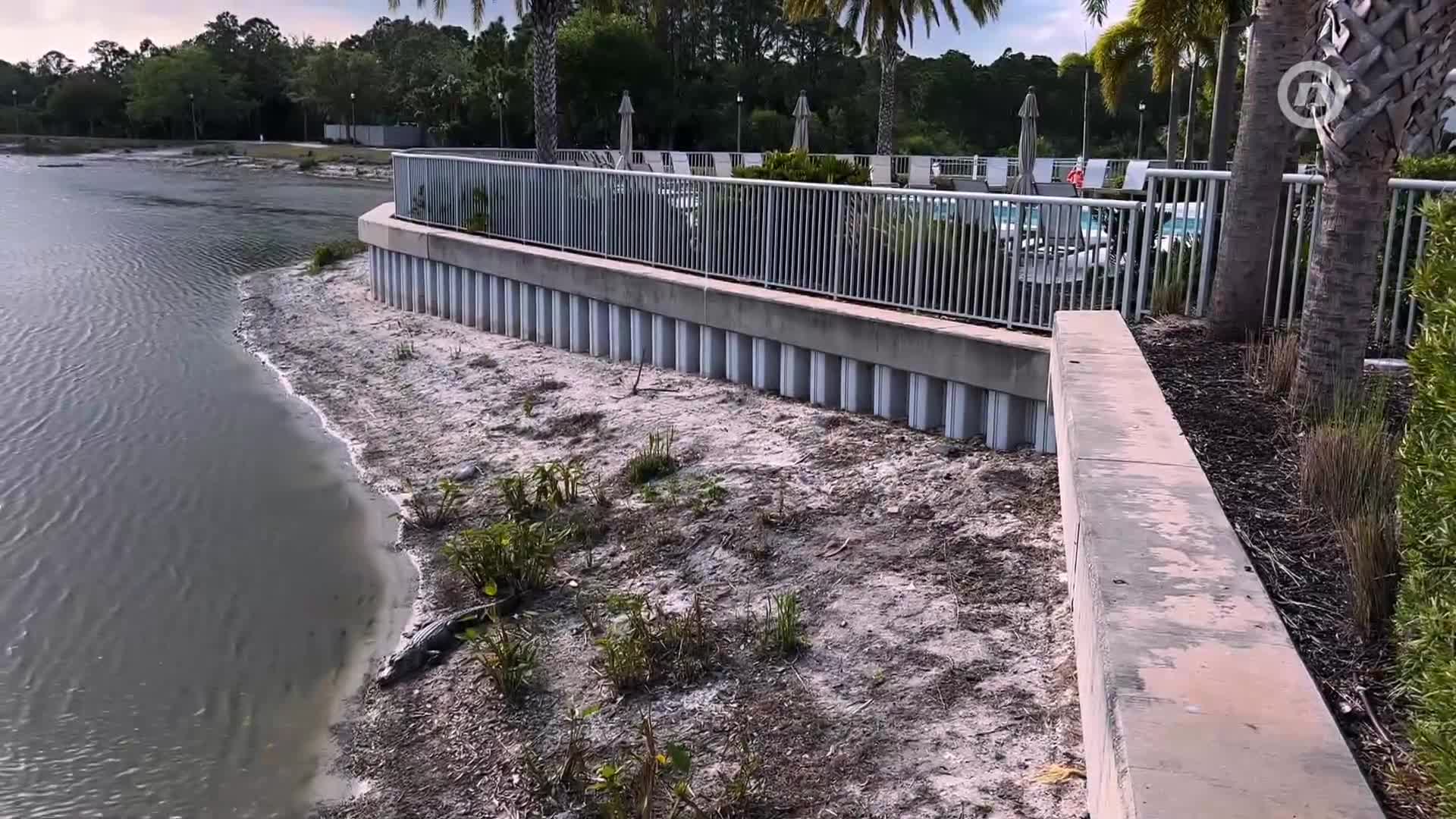 NovaTVPlus