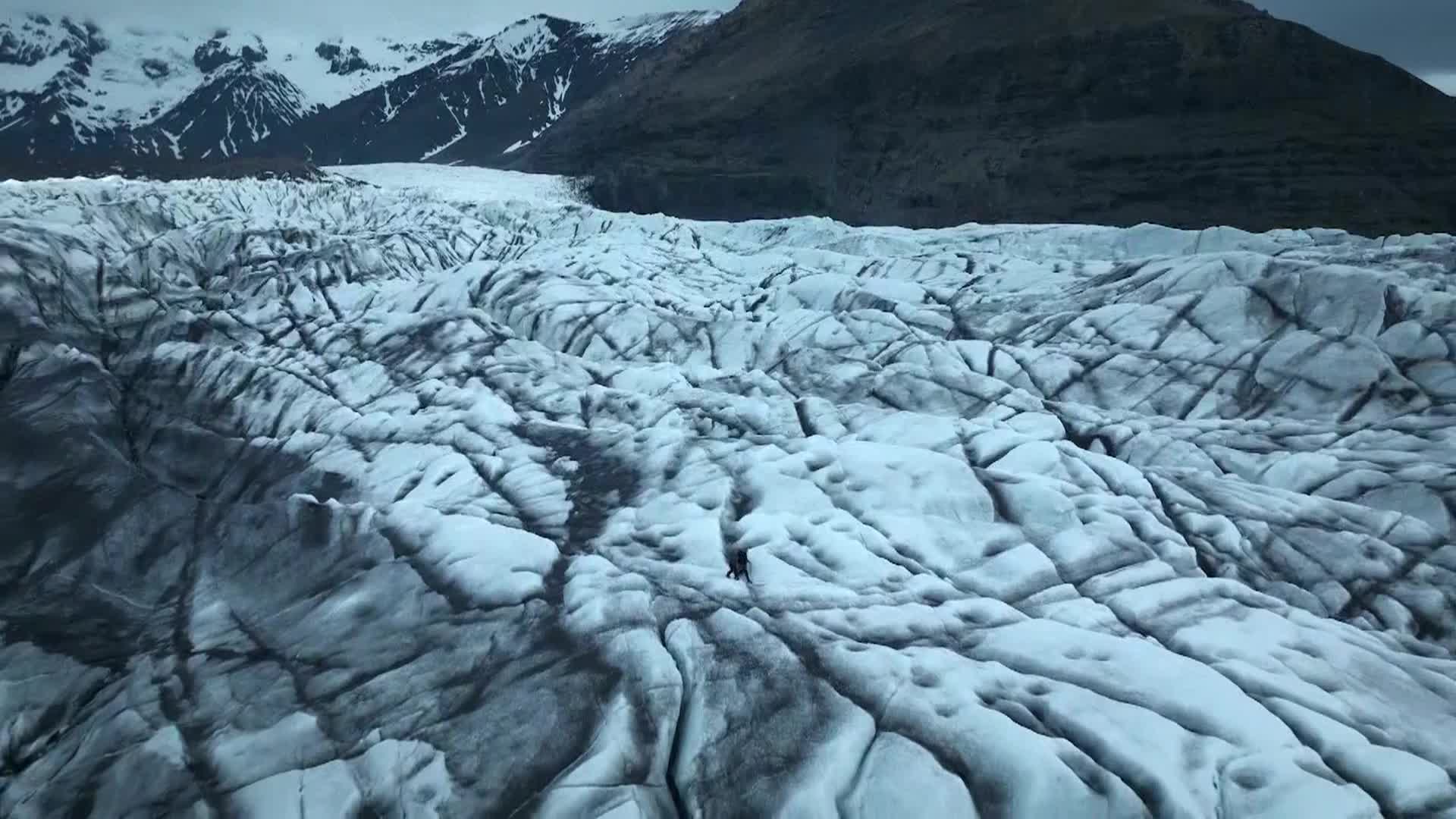 AnimalPlanet