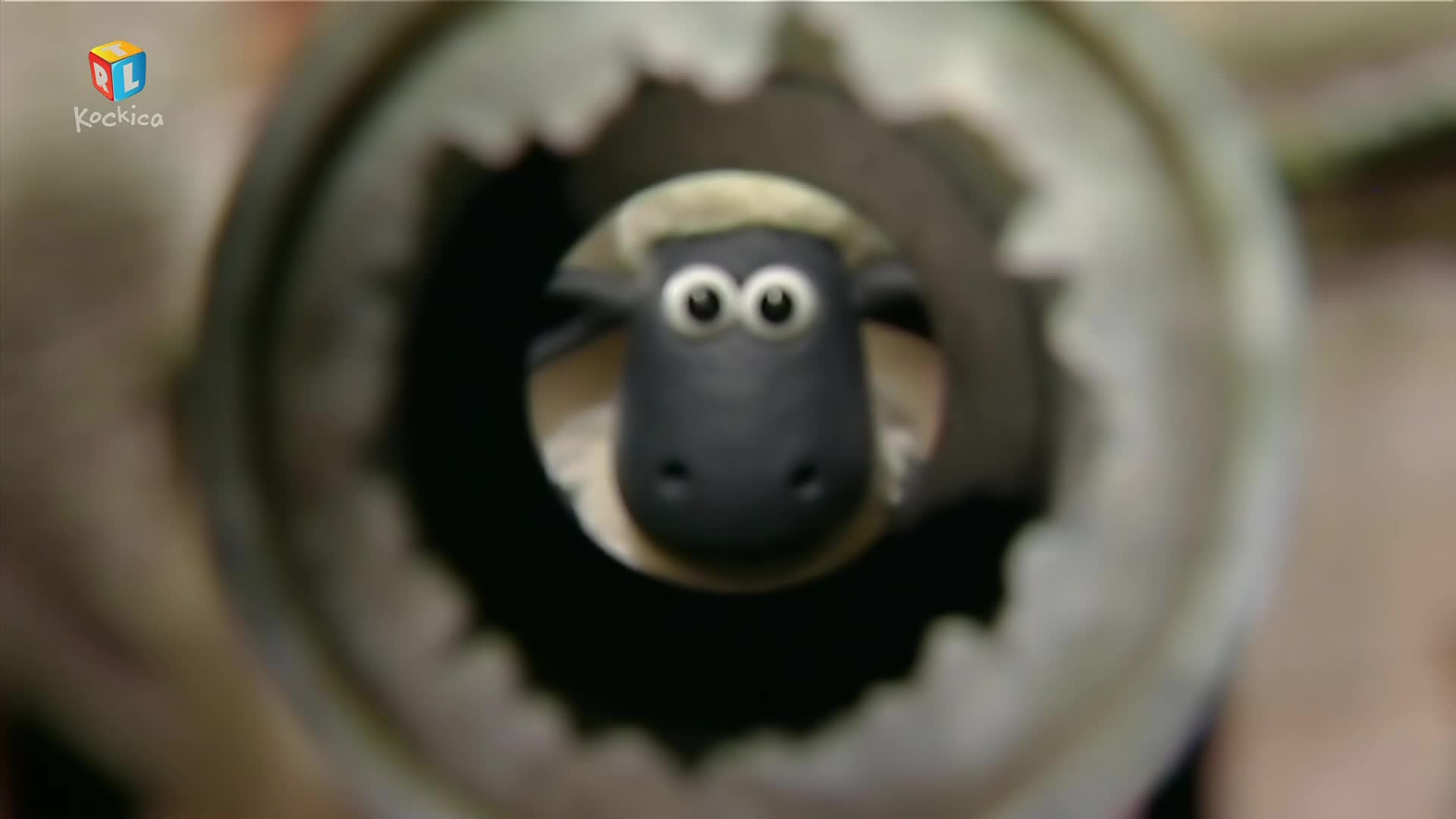 RTLKockica