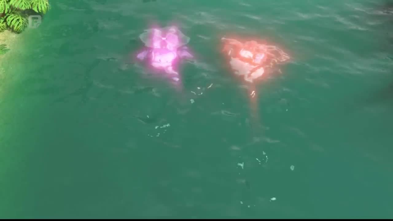 FTV