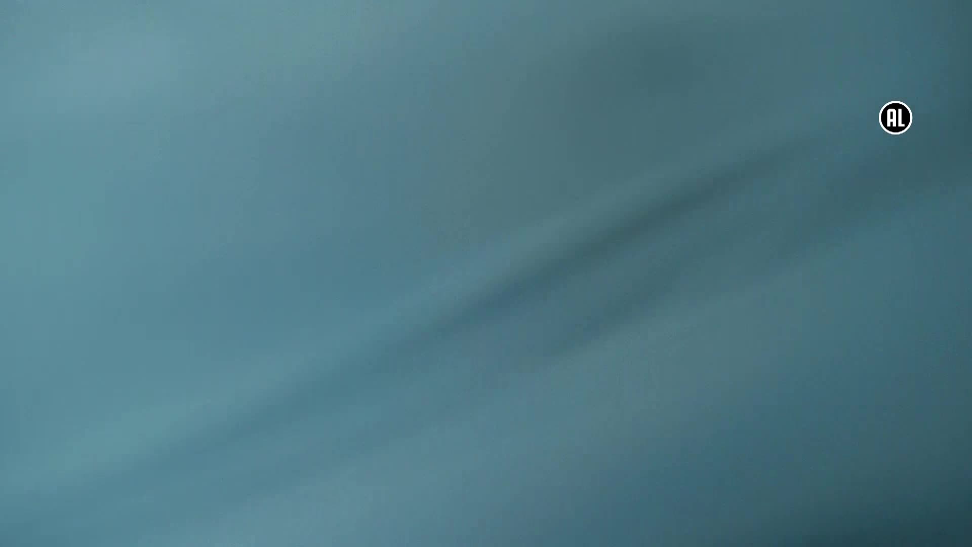 AnimalPlanet