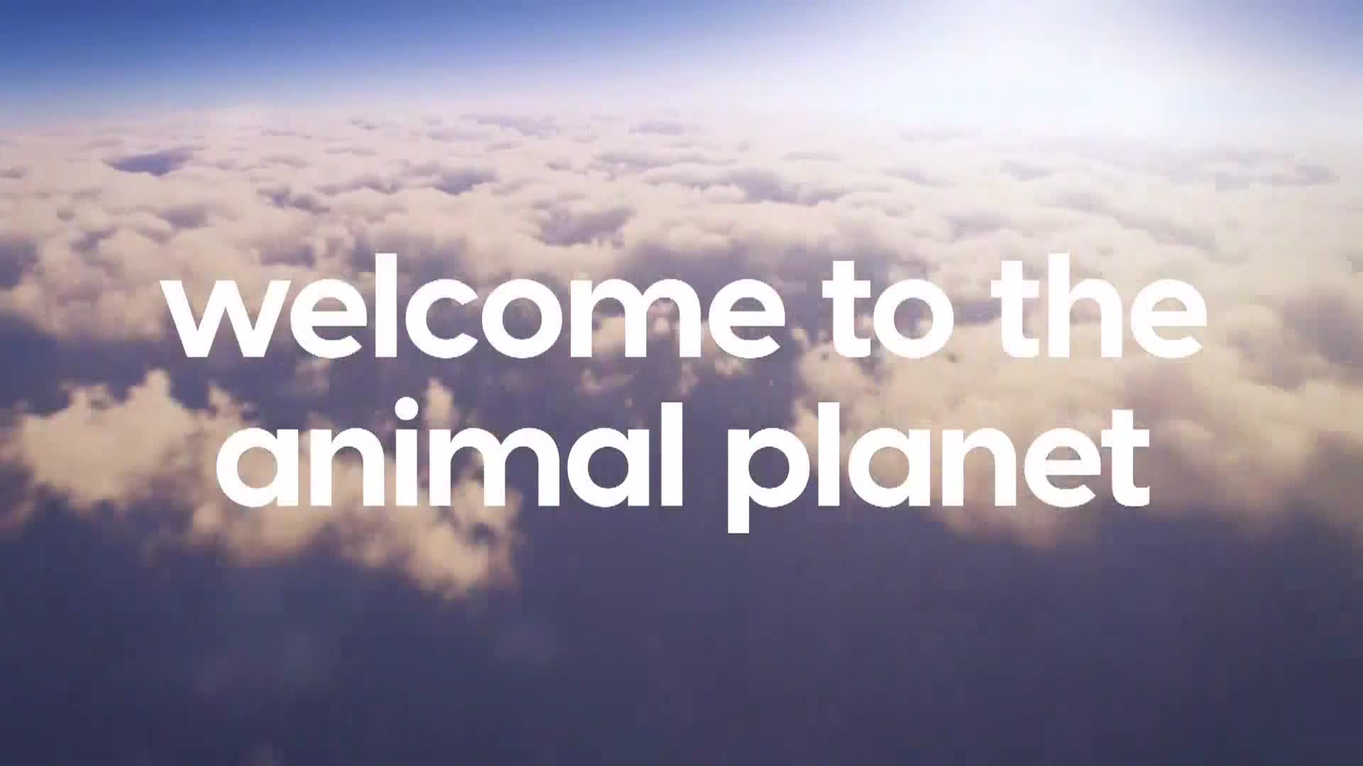 AnimalPlanet