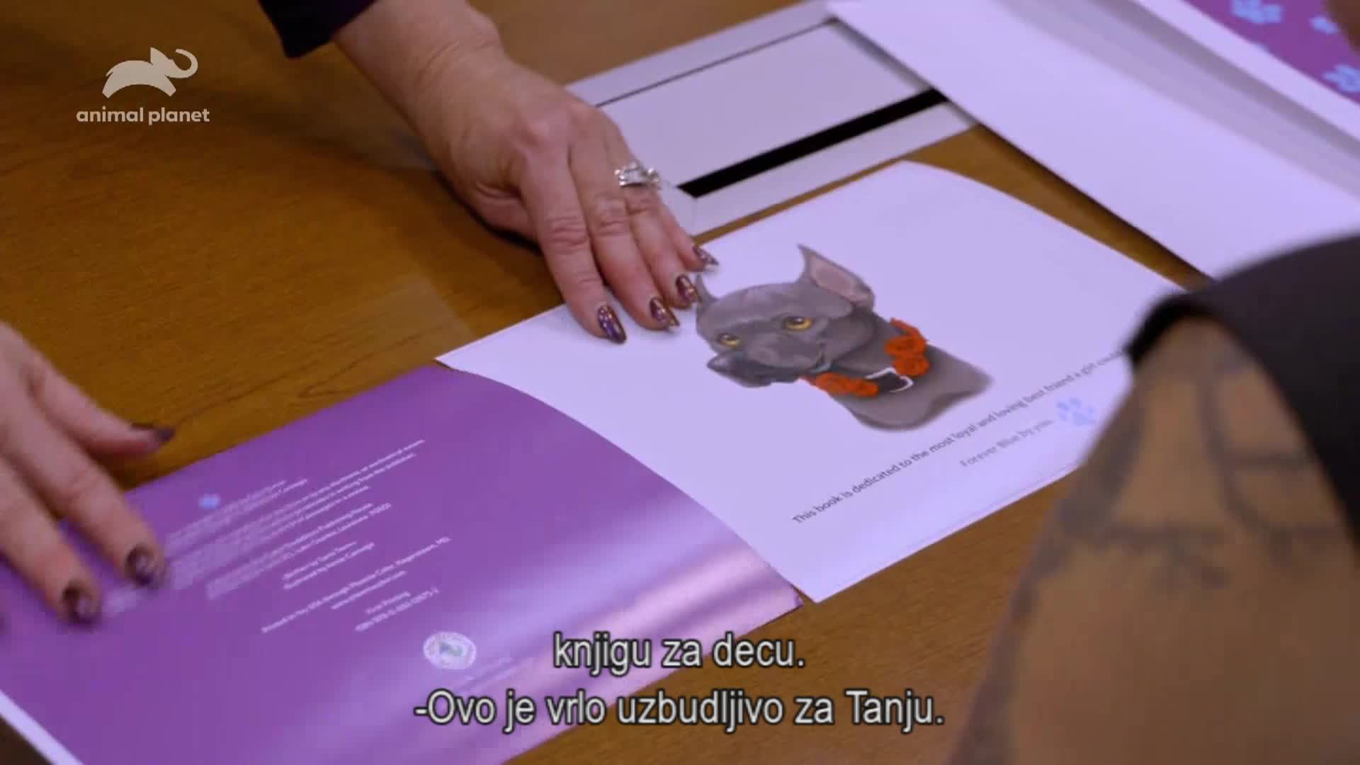 AnimalPlanet