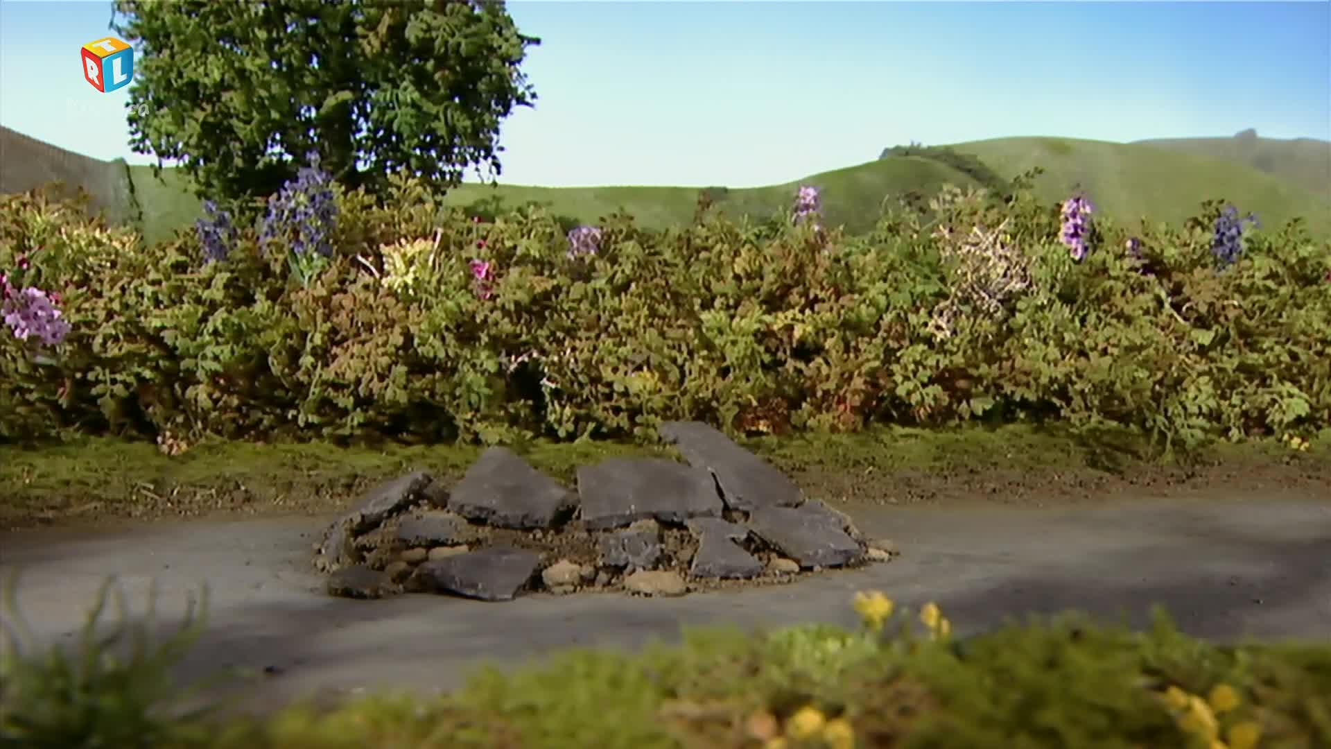 RTLKockica